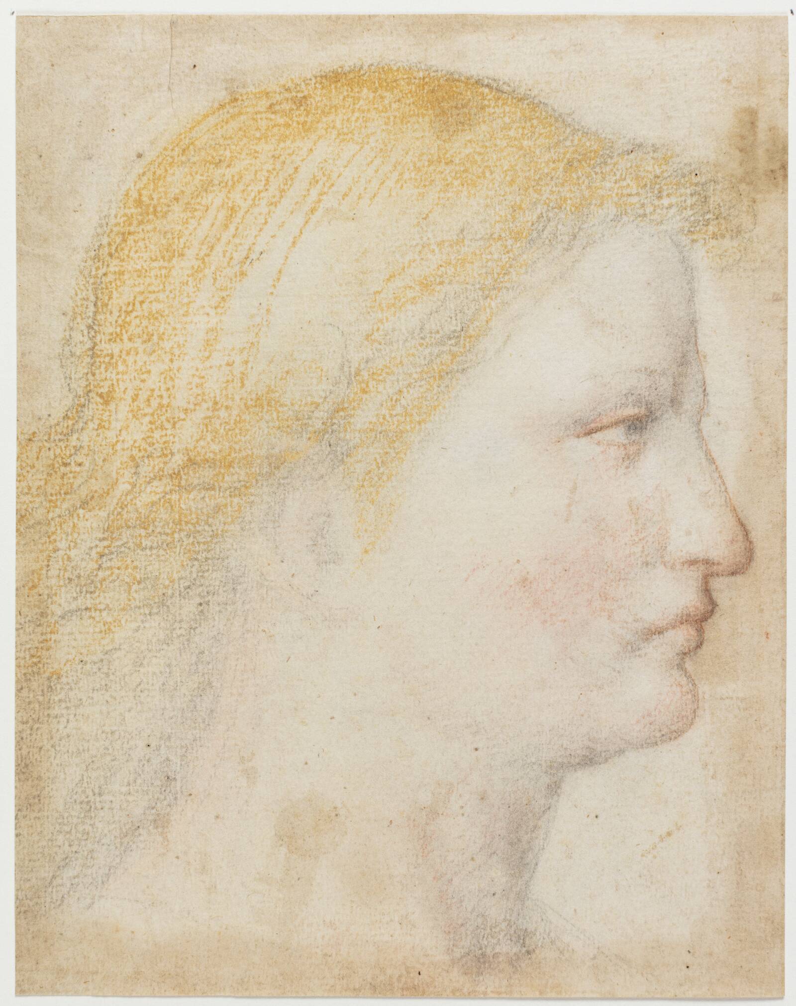 Kvindeprofil, Ubekendt, 1500-1525