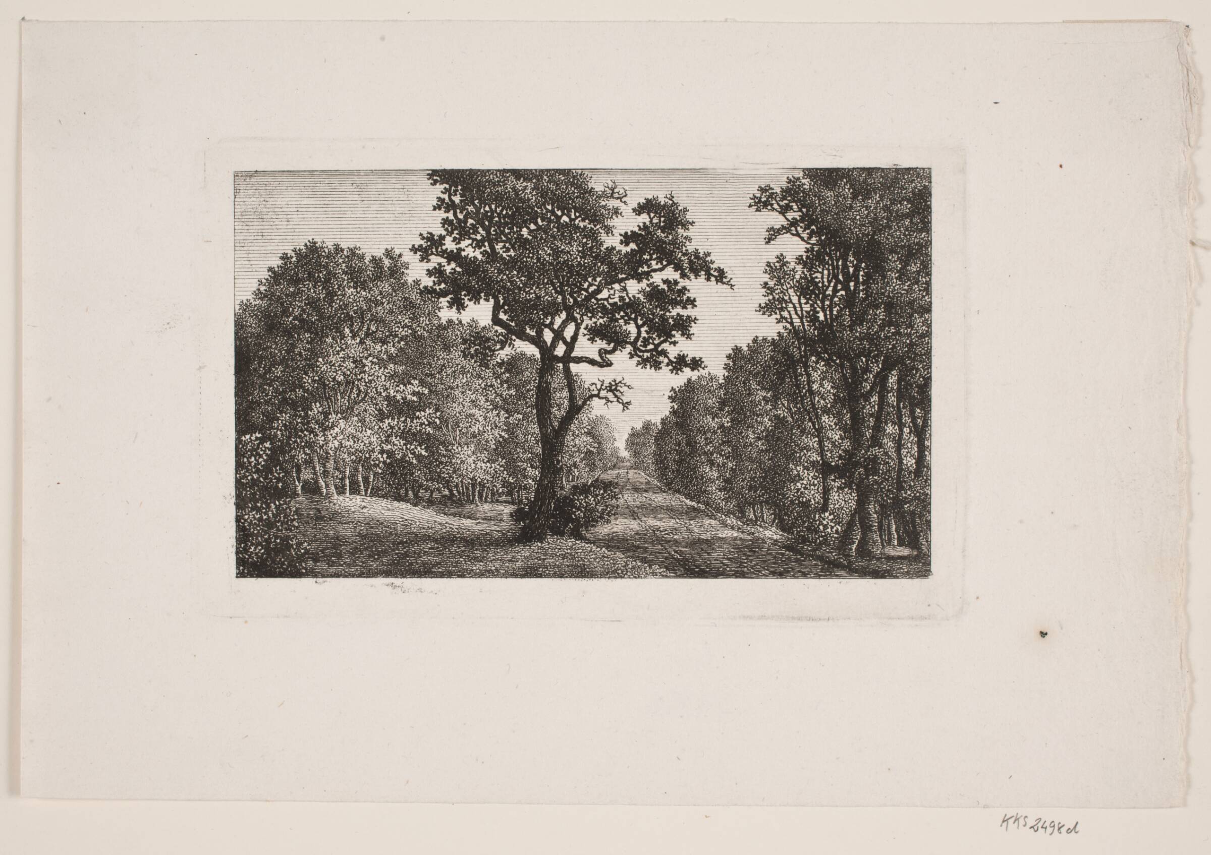 Lysning med eg, Søren Henrik Petersen, 1788-1860