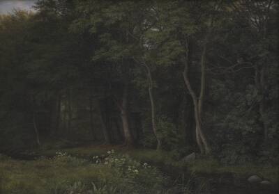 Begyndende aftenskumring i en skov. Motiv fra Iselingen
