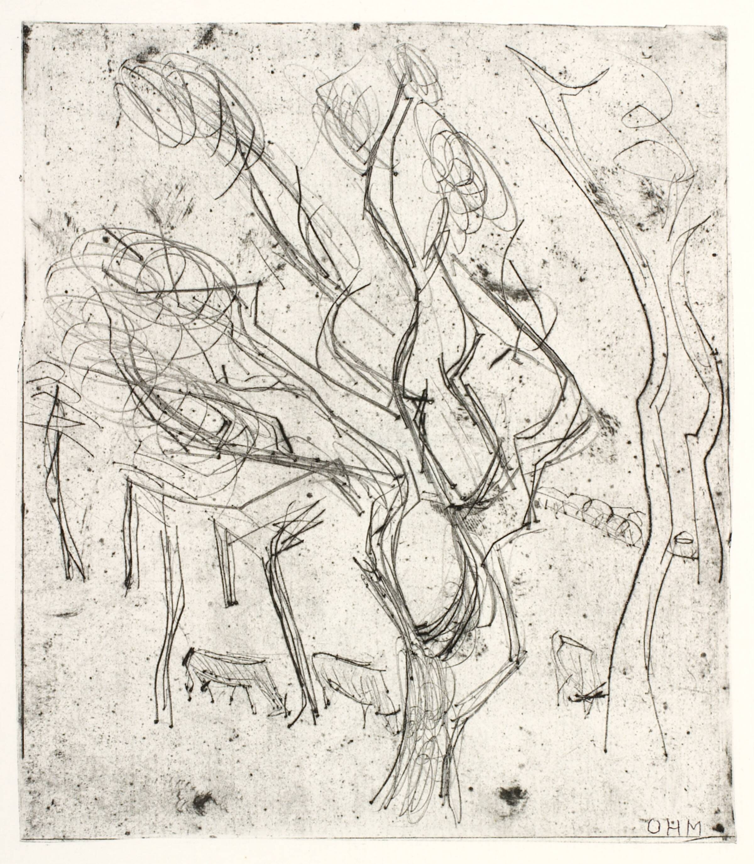 To køer mellem store træer, Olivia Holm-Møller, 1875-1970
