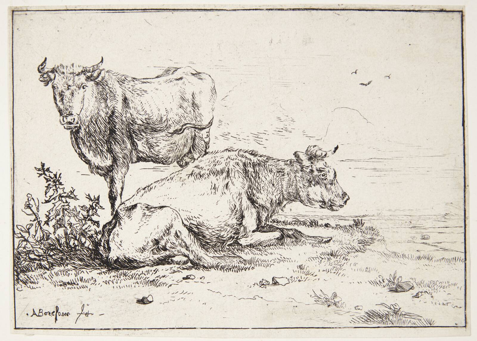 To køer, Anthonie van Borssom, 1630-1677