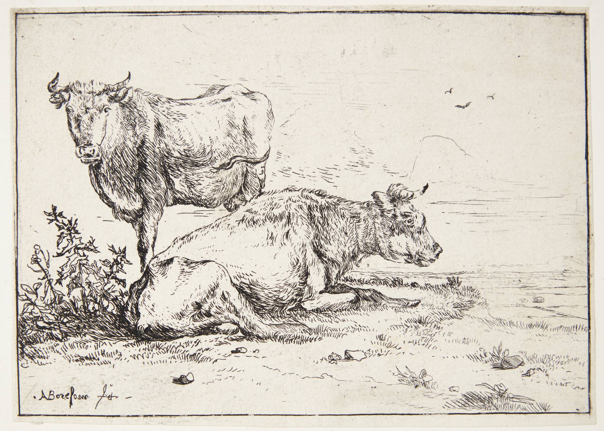 Anthonie van Borssom
