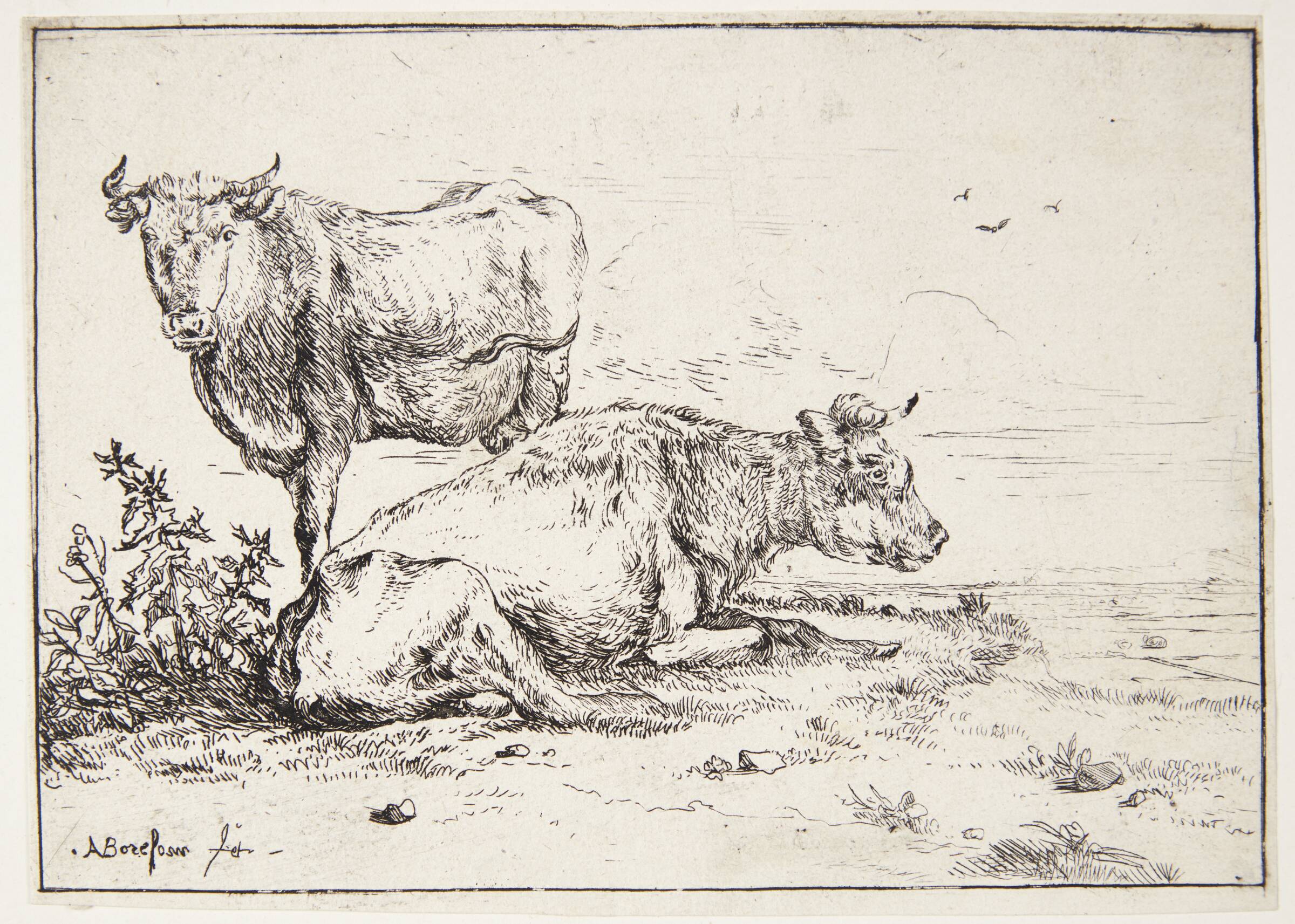 To køer, Anthonie van Borssom, 1630-1677