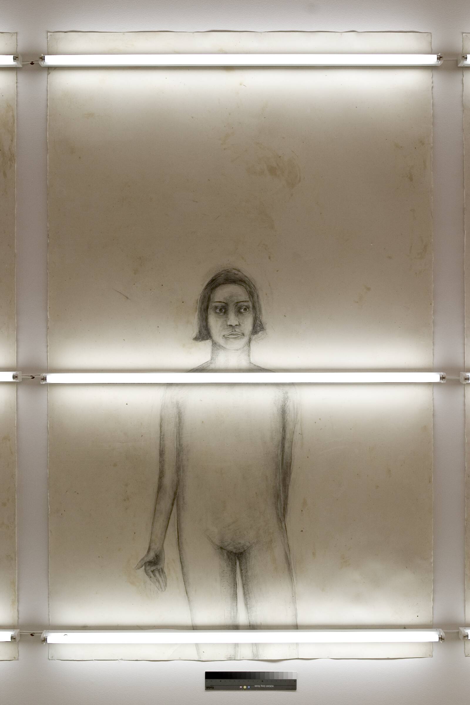 Home, Erik A. Frandsen, 1994