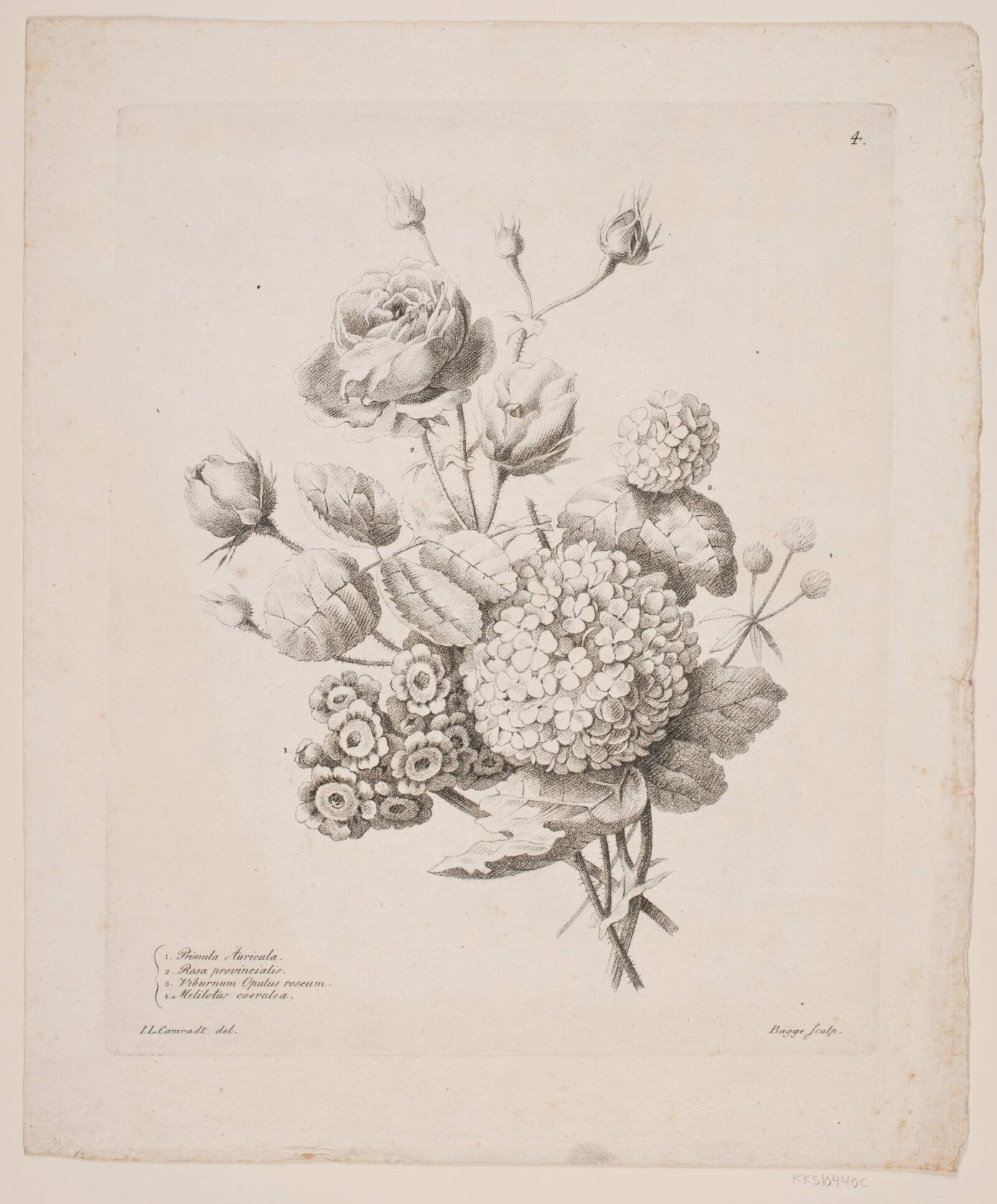 Blomster, Oluf Olufsen Bagge, 1816