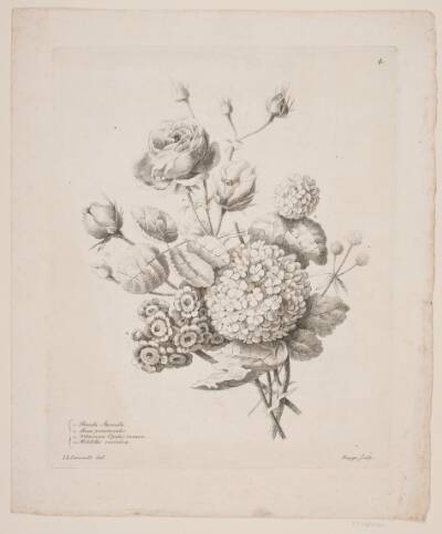 Blomster