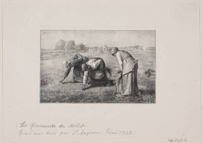 Des glaneuses