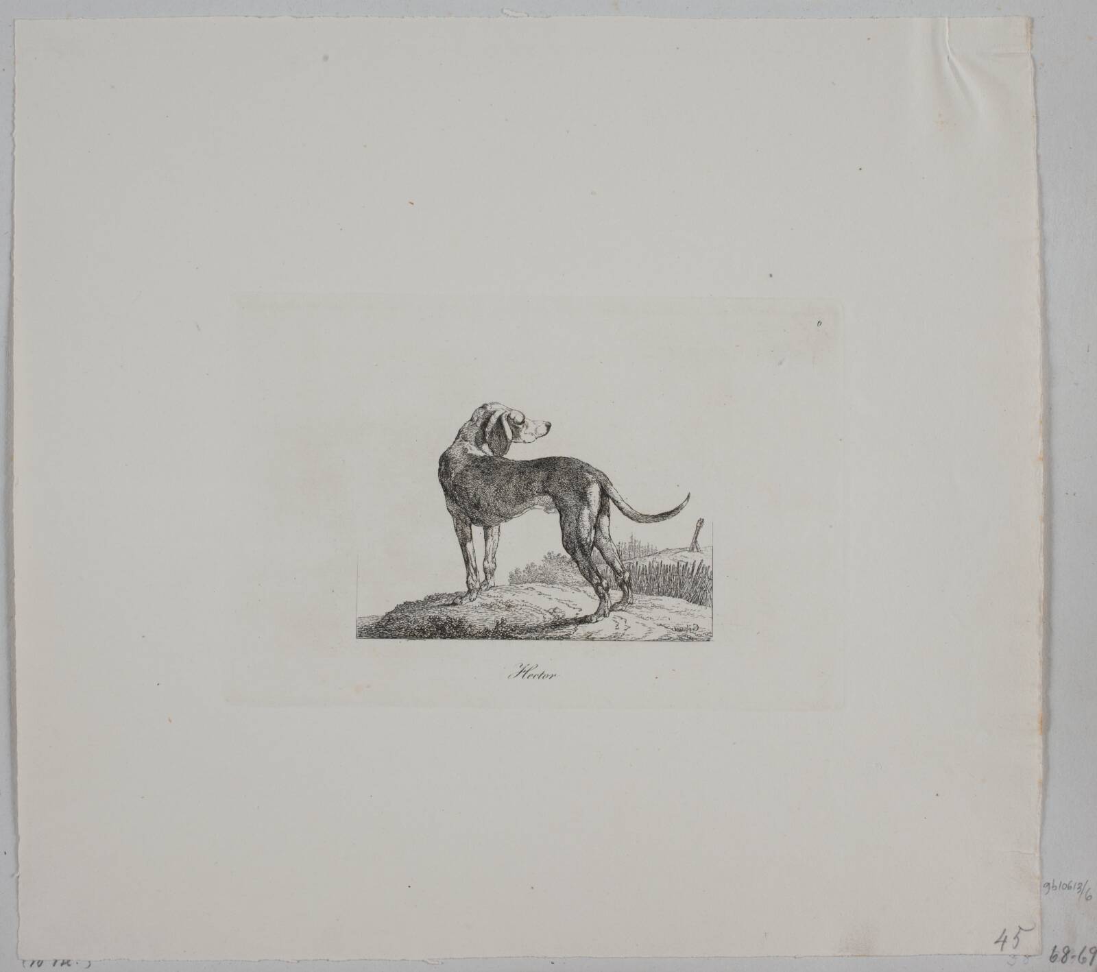 Hector, Христиан Давид Гебауэр, 1821