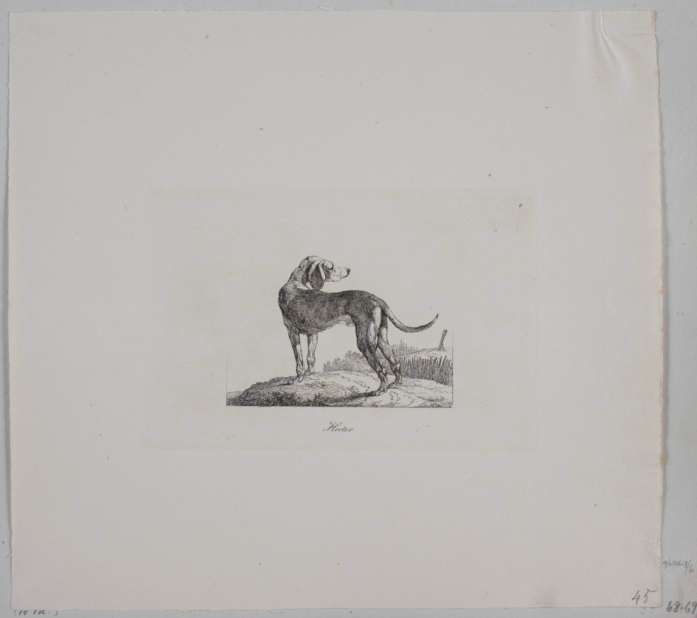 Hector, Christian David Gebauer, 1821
