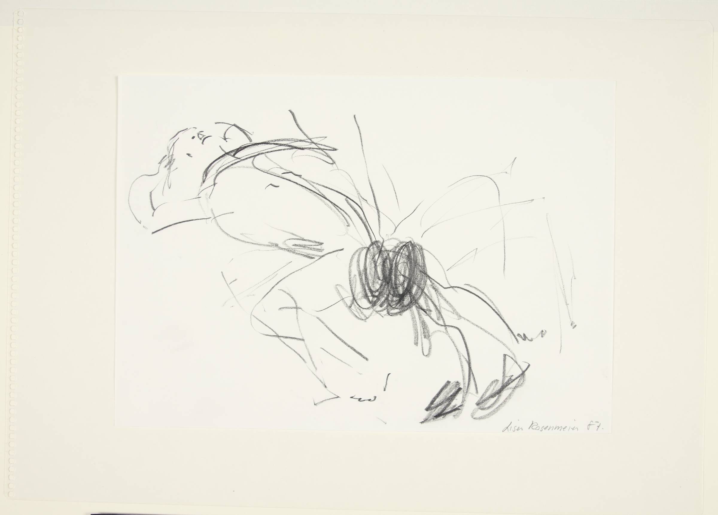 Forløb, Lisa Rosenmeier, 1987
