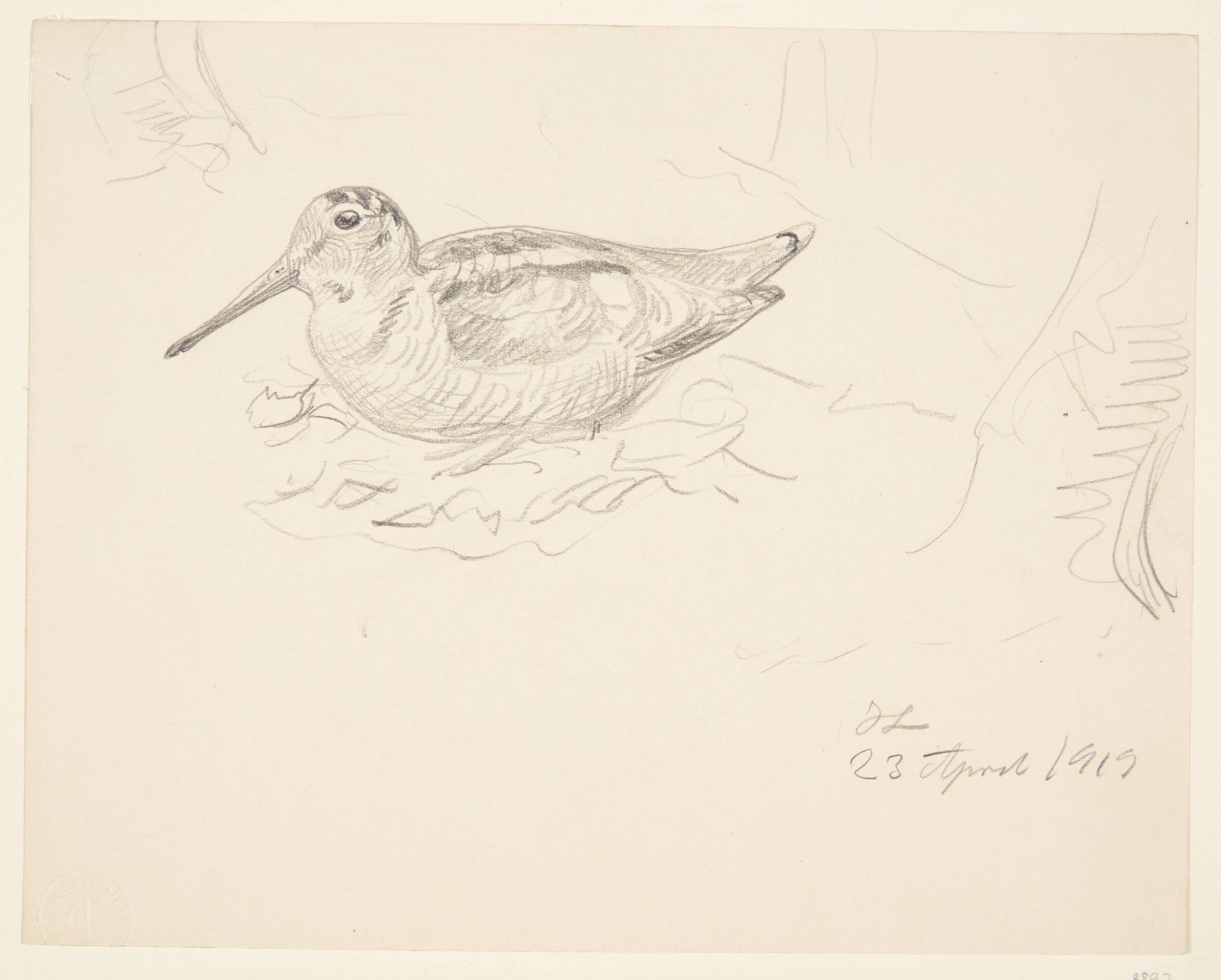 Snepper, Johannes Larsen, 1919