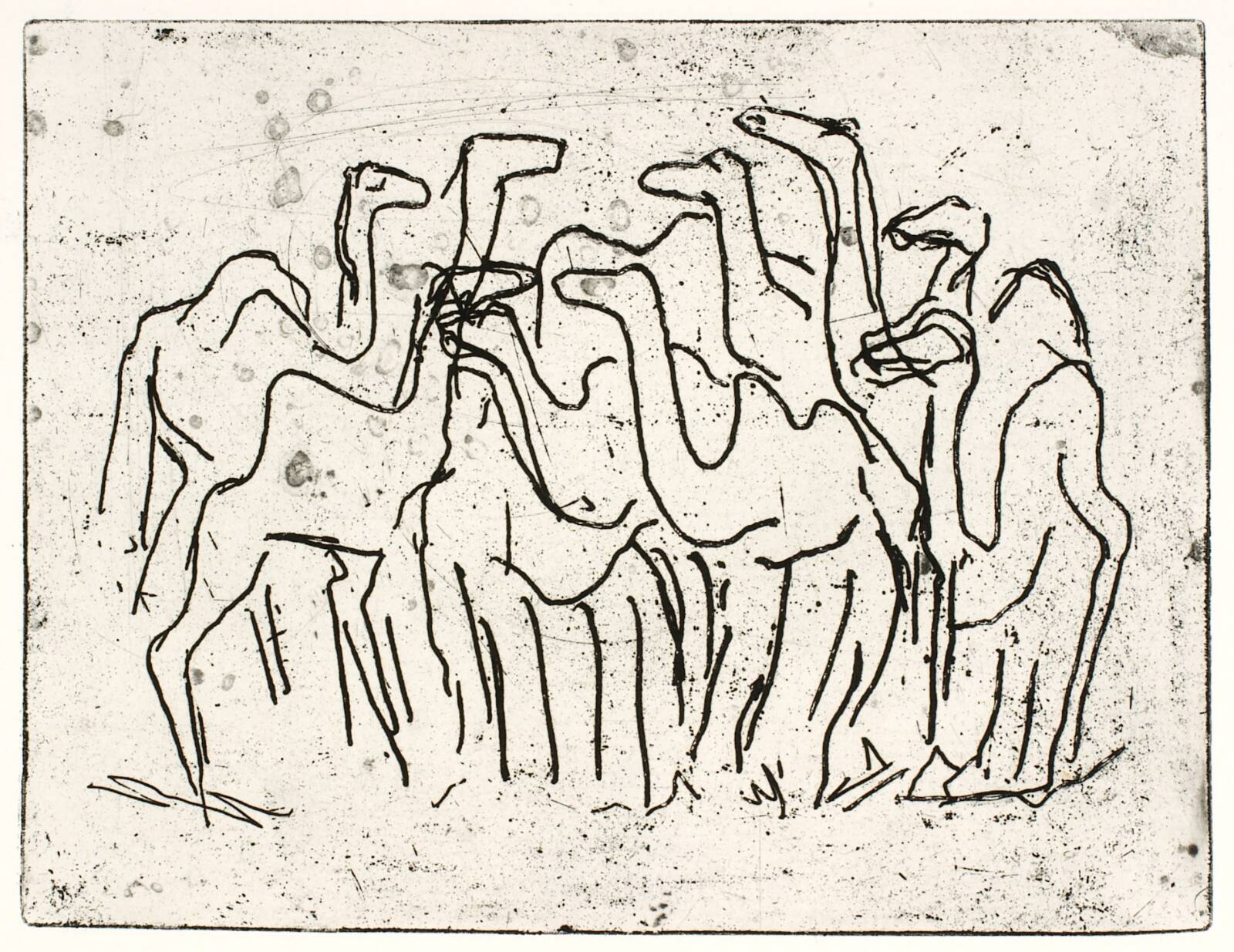 Kamelflok, Olivia Holm-Møller, 1948-1951