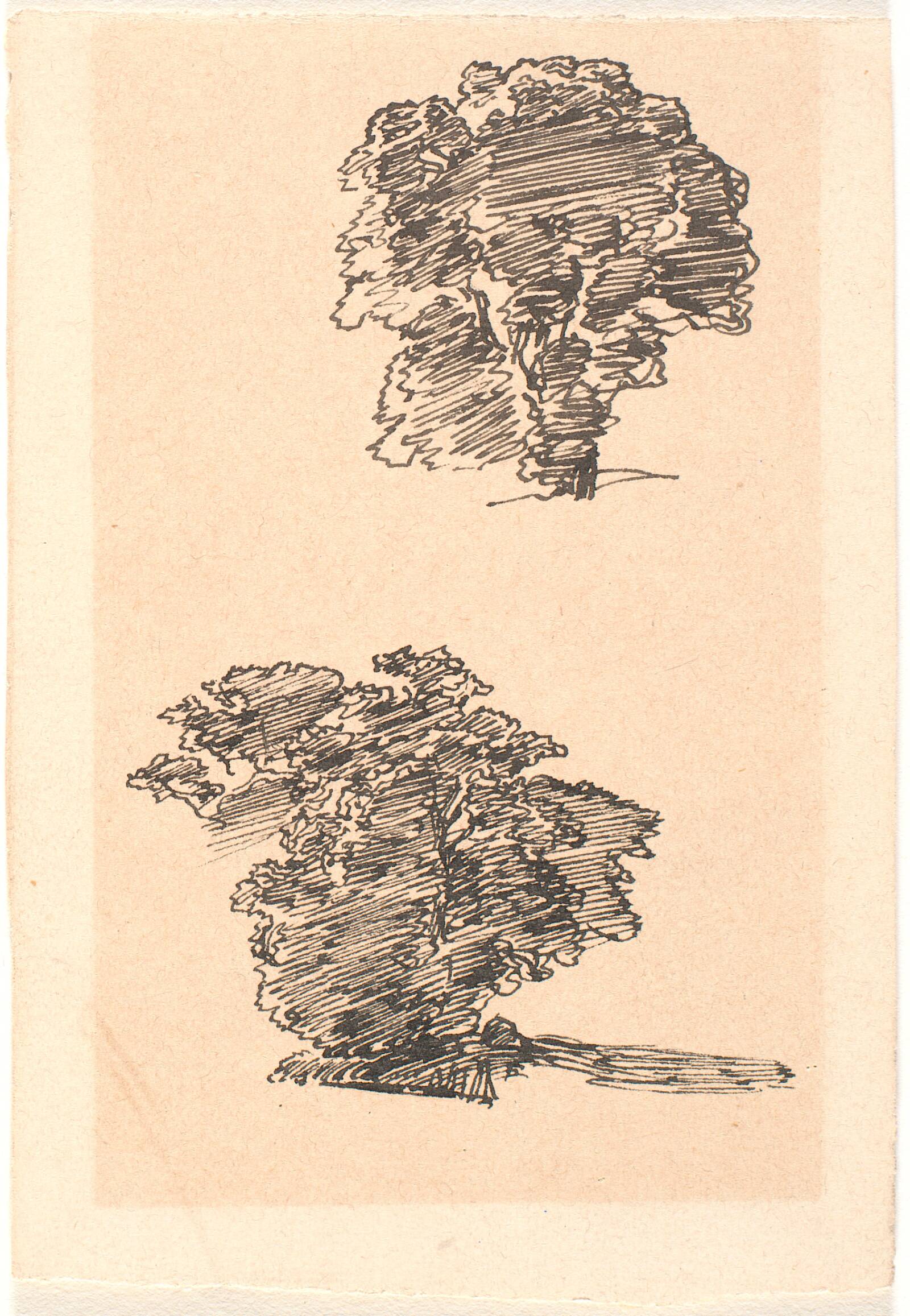 To studier af et træ, Joakim Skovgaard, 1885