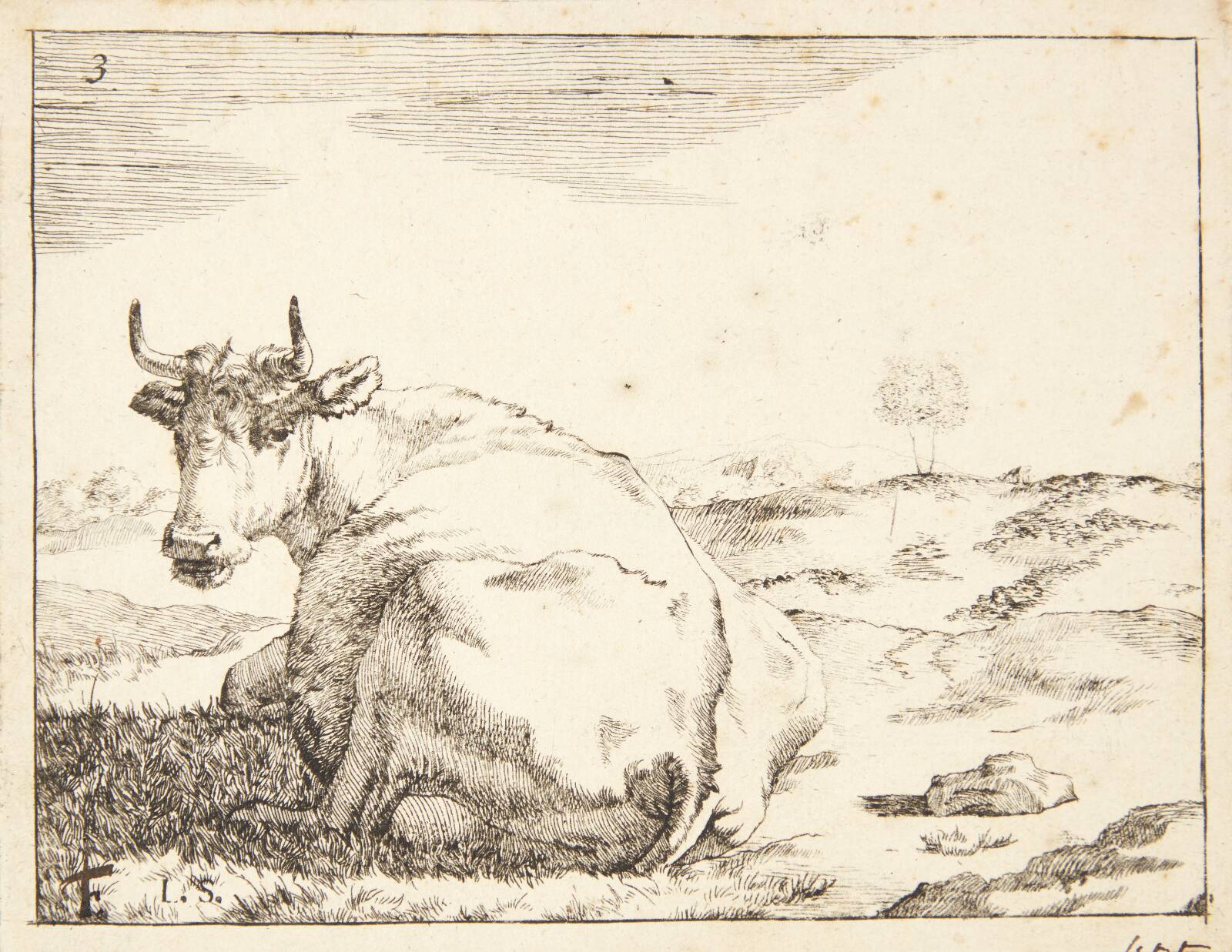 Liggende ko, set bagfra, Marcus de Bye, 1638-1690