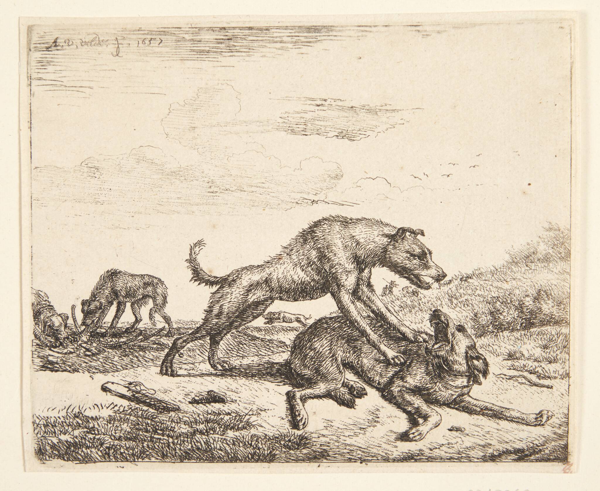 Hunde i slagsmål