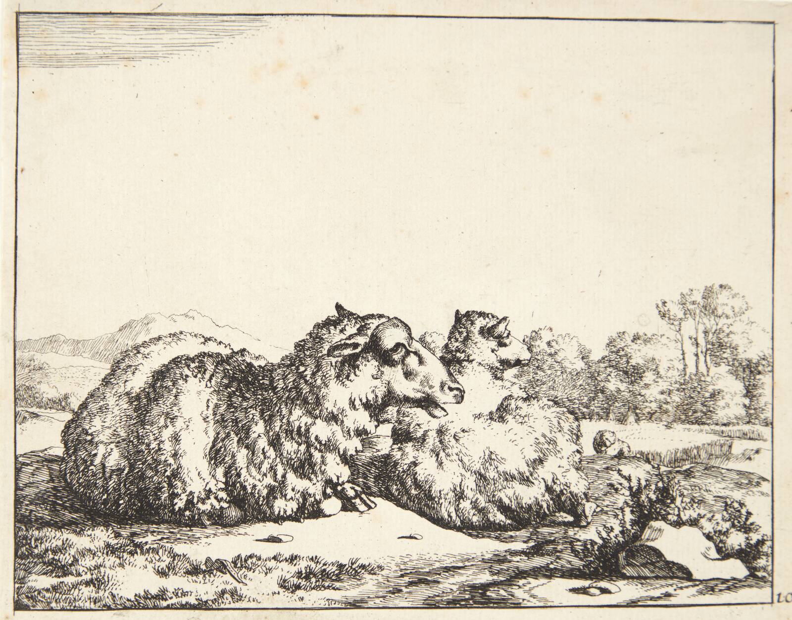 To liggende får, Marcus de Bye, 1664