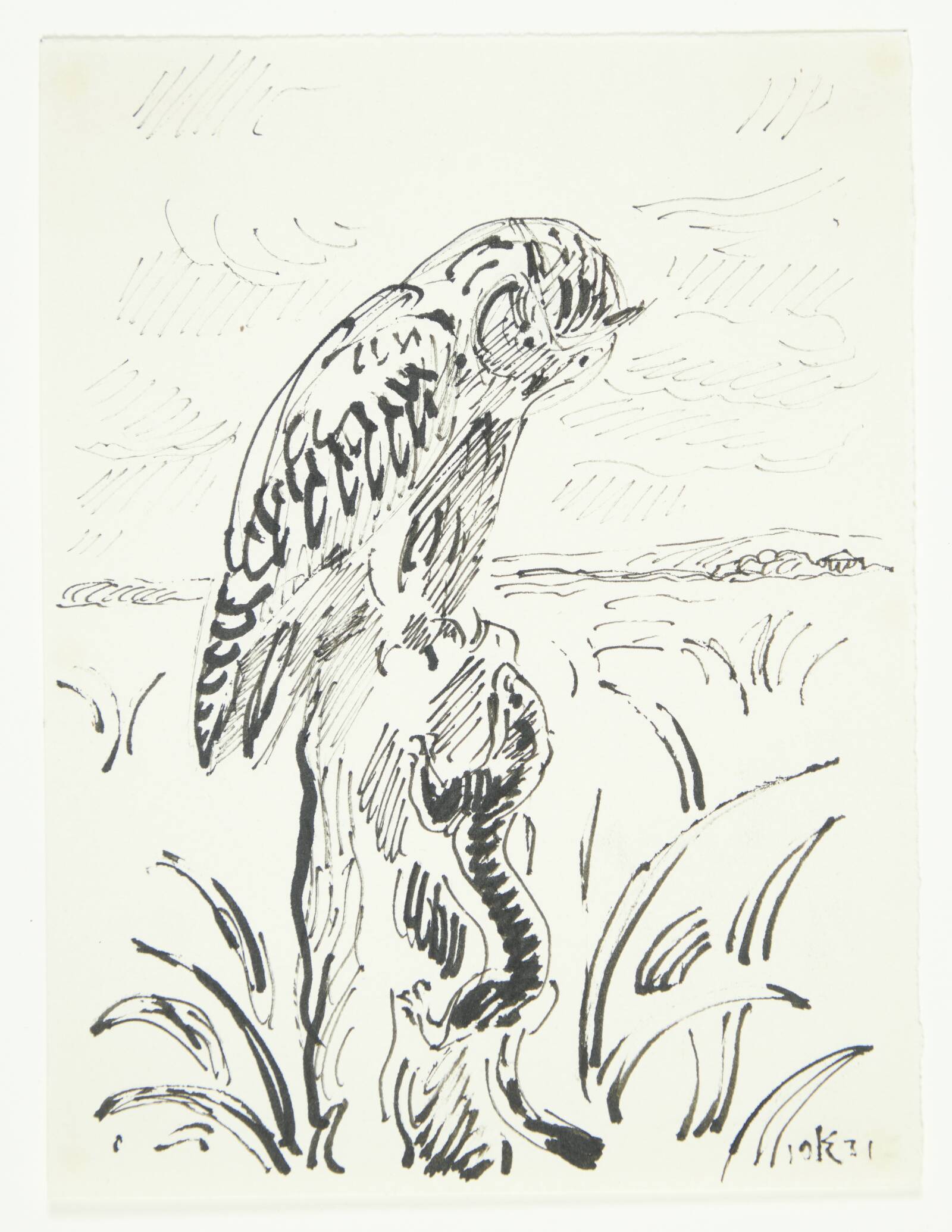Moseugle og lækat, Knud Kyhn, 1931
