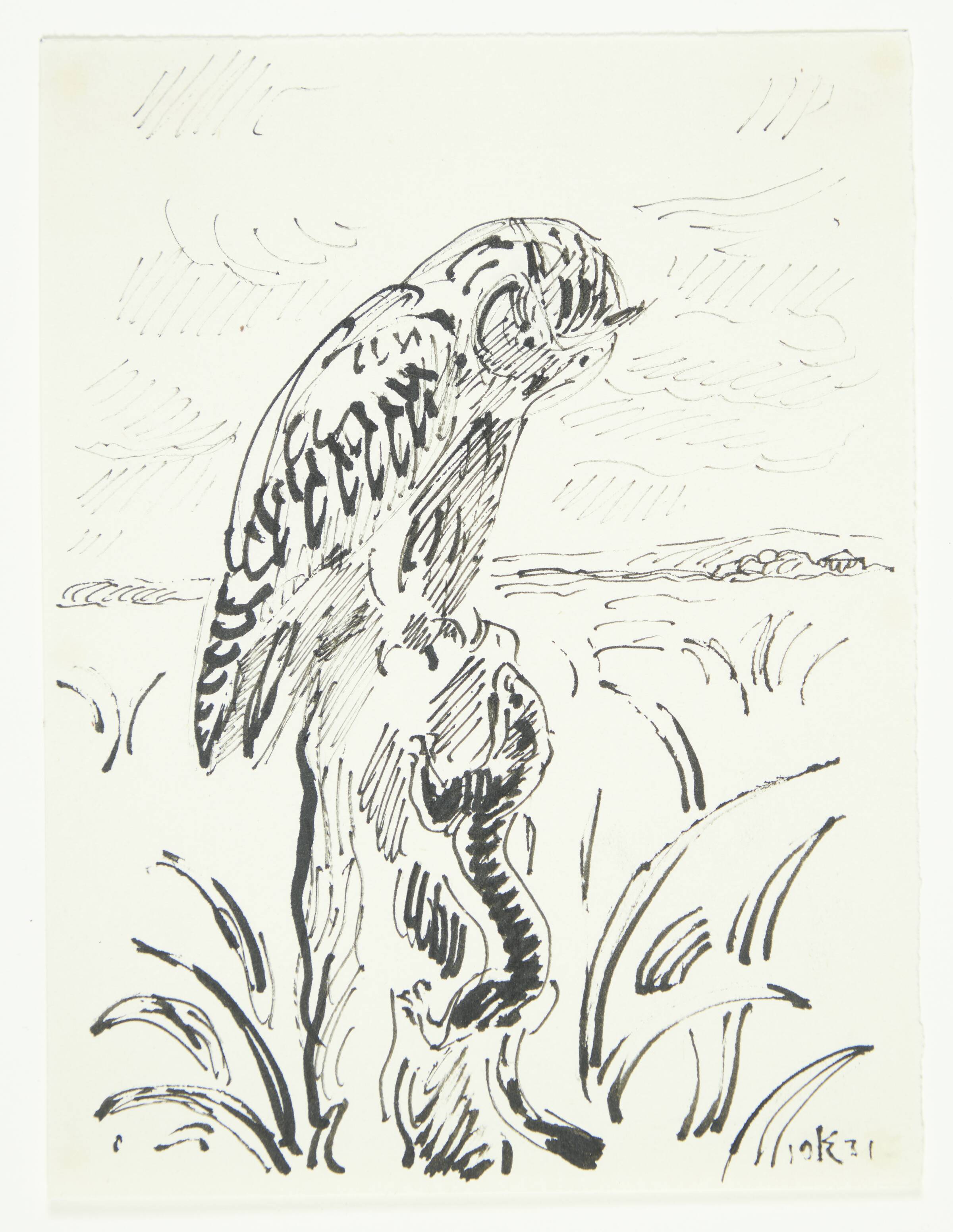 Moseugle og lækat, Knud Kyhn, 1931
