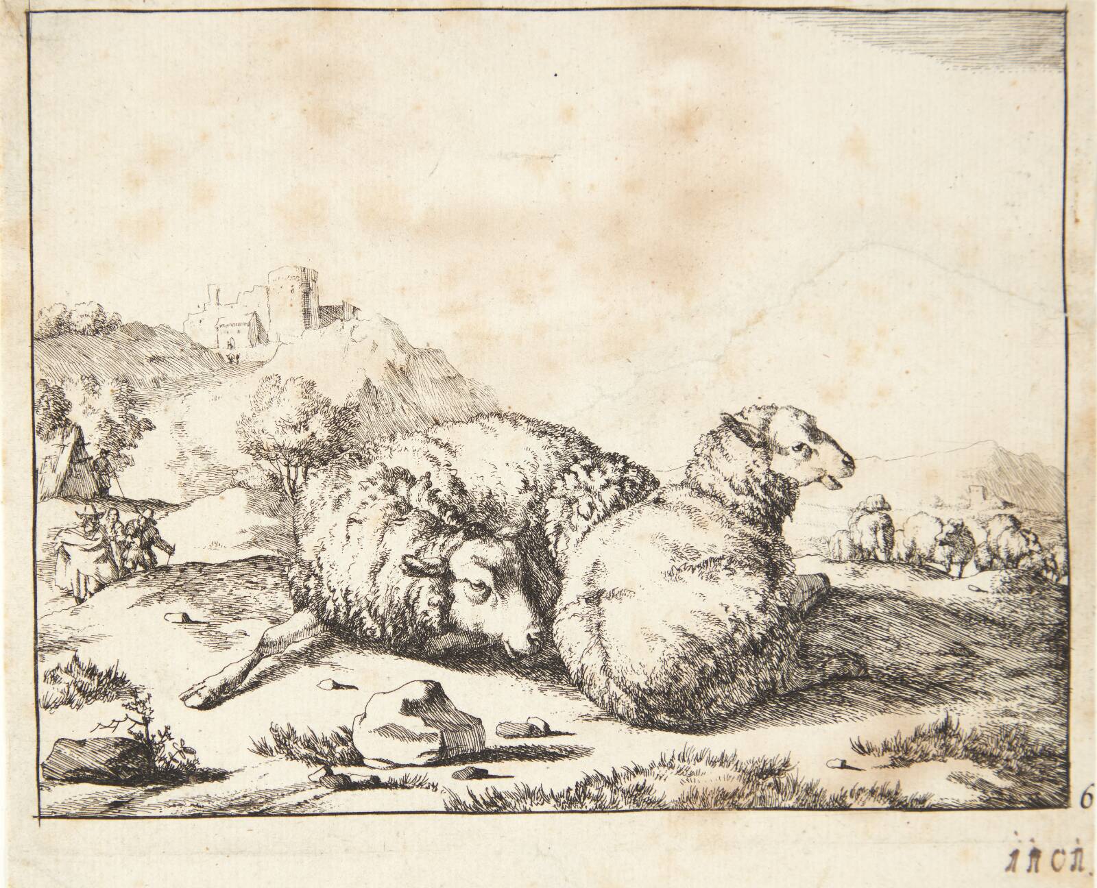 To liggende får, Marcus de Bye, 1664