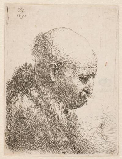 Skaldet mand i profil (Rembrandts fader?)