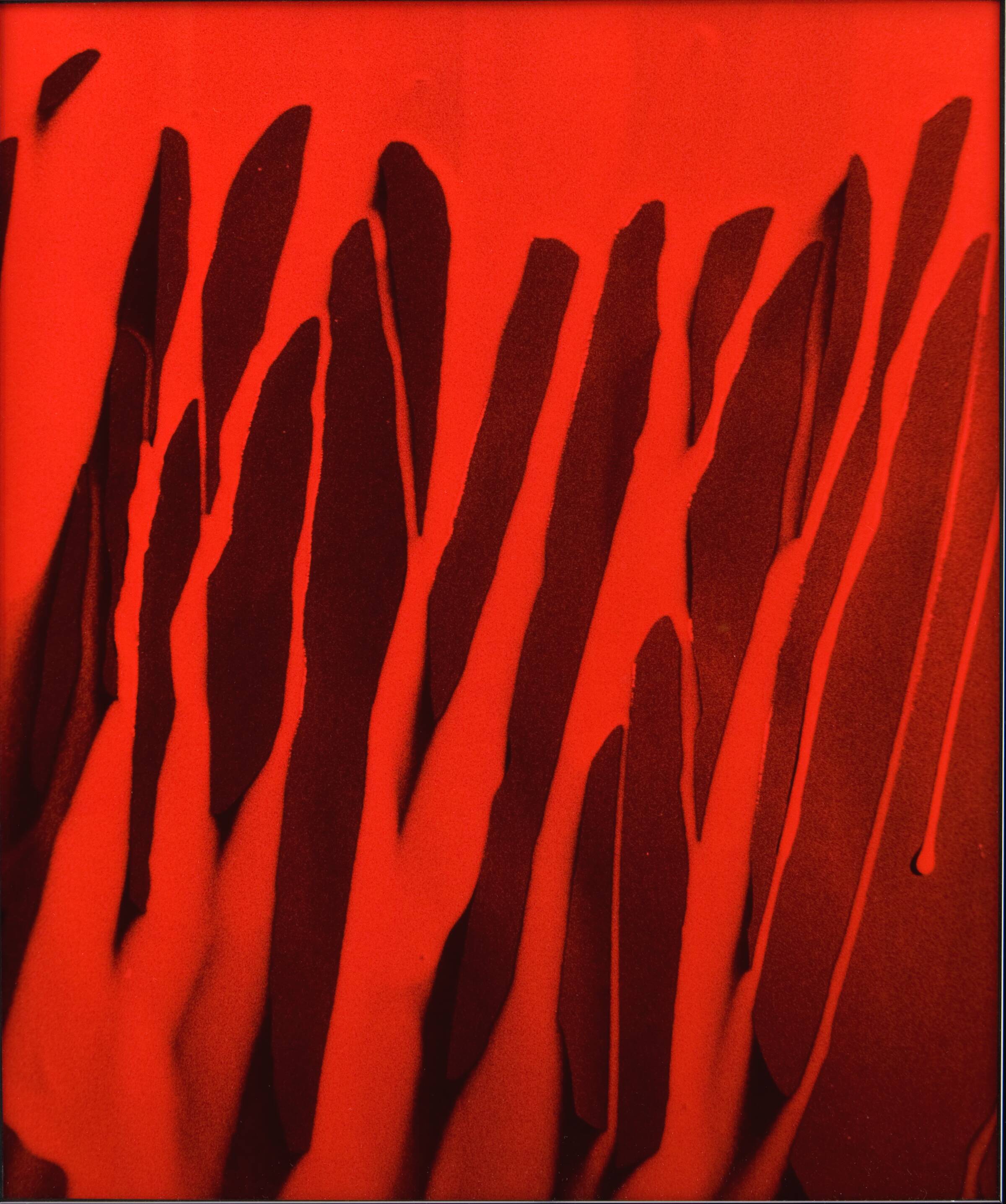 Bloody Life No. 1, Gilbert, 1975
