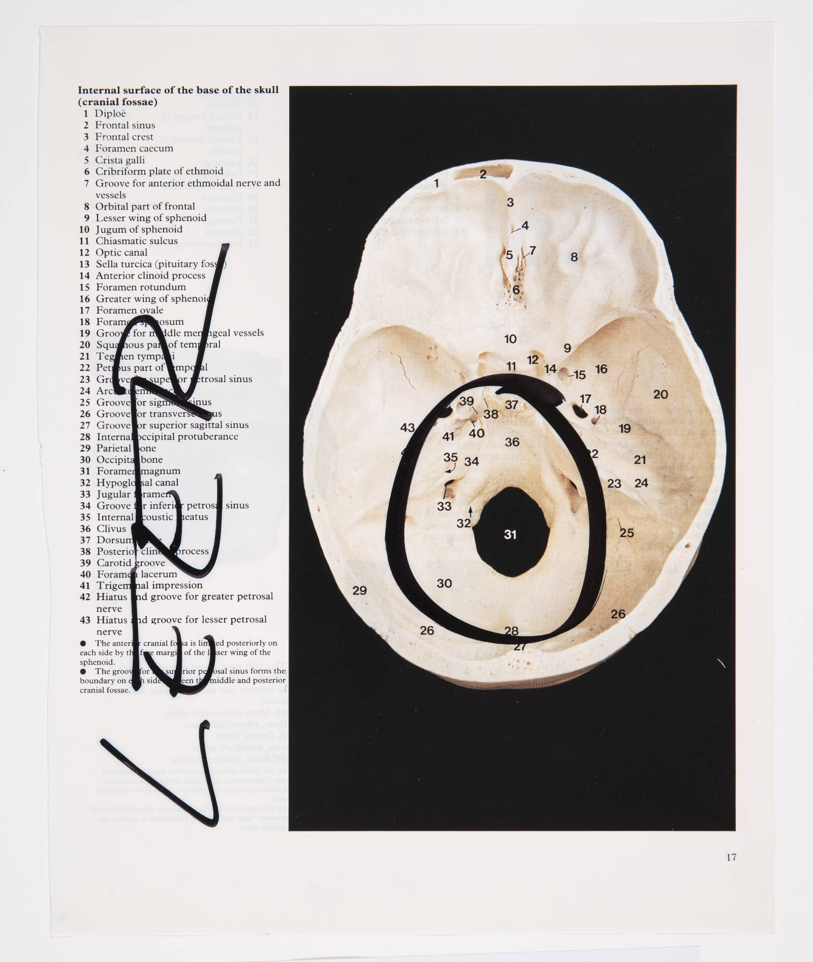 Leer, Christian Lemmerz, 1994