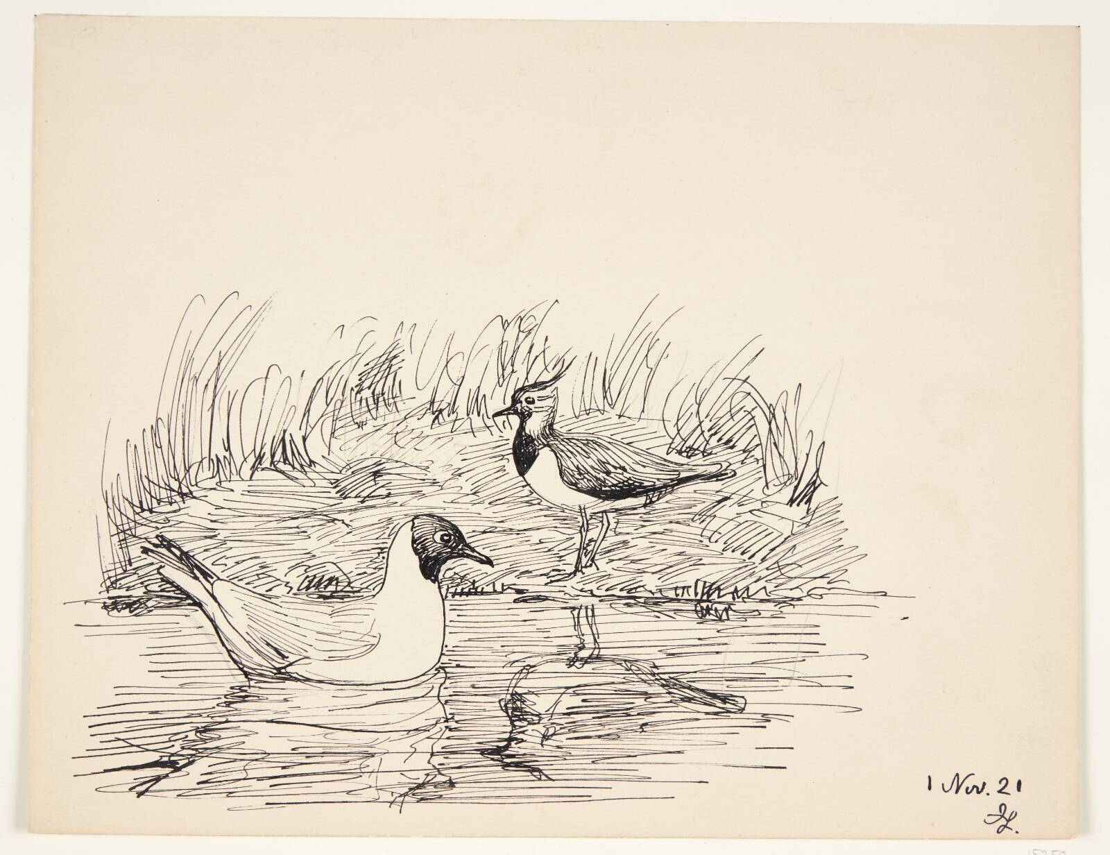 Fuglestudie, Johannes Larsen, 1921