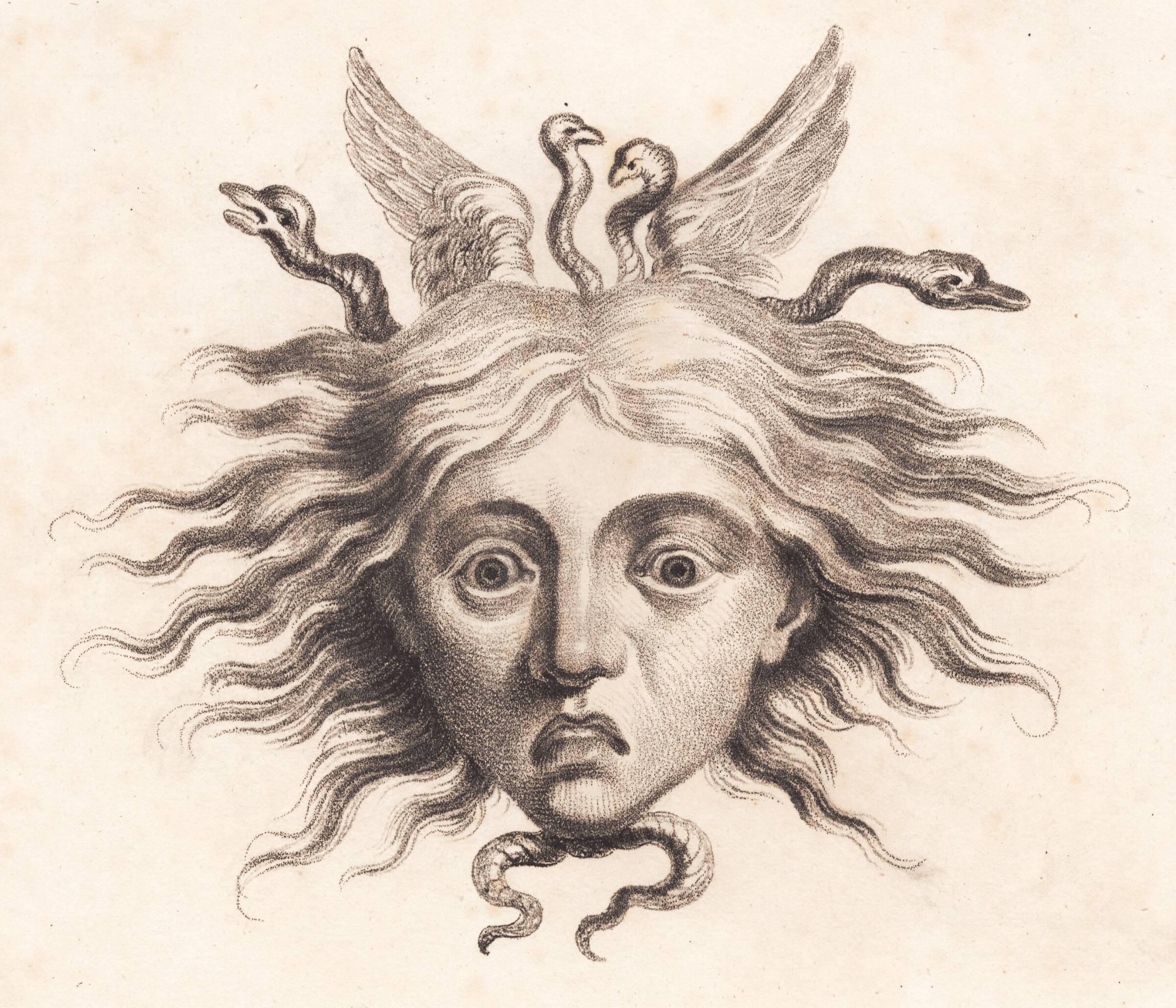 Medusahoved, J.F. Clemens, 1748-1831