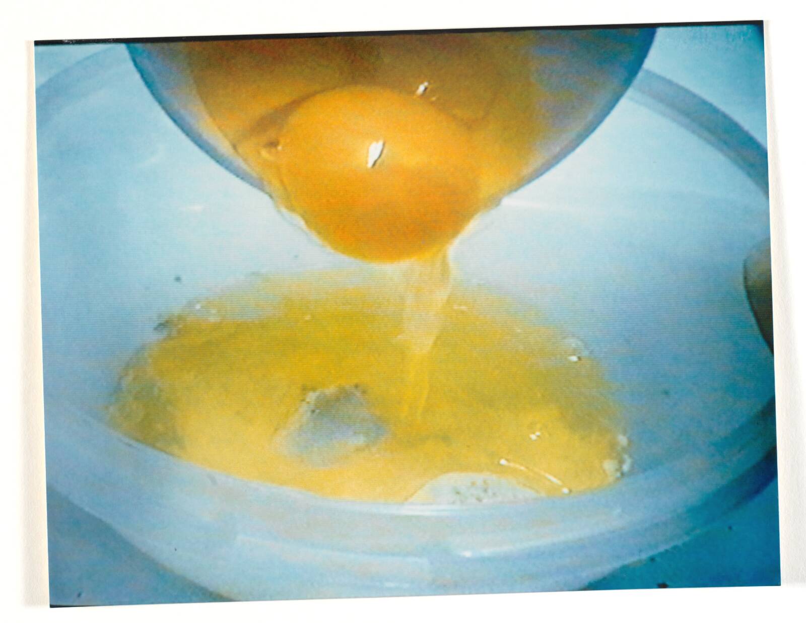 Labotik, Anja Franke, 1995