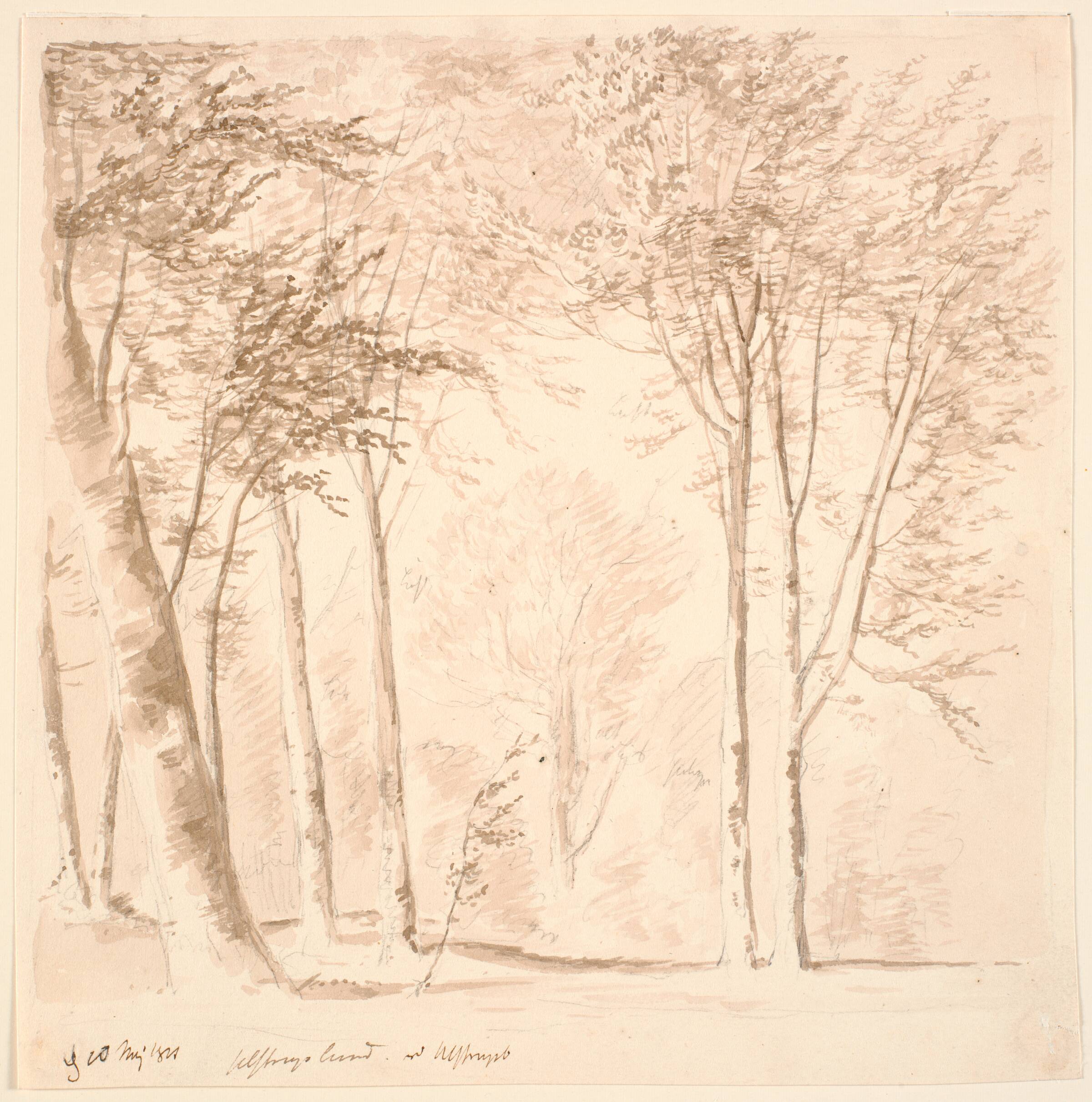 Skovparti, J.P. Møller, 1821