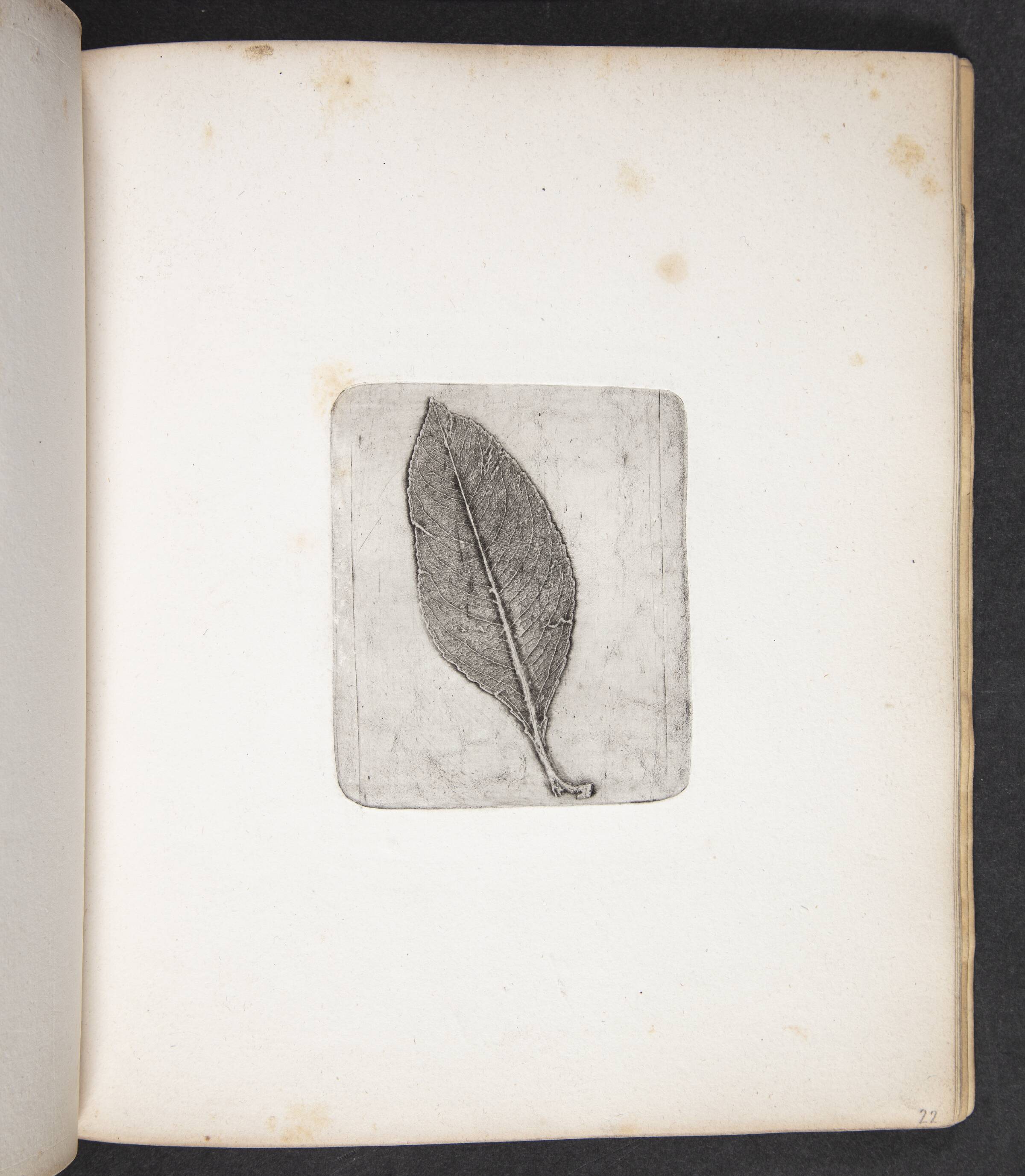 Aftryk af blad, Peter Larsen Kyhl, 1833