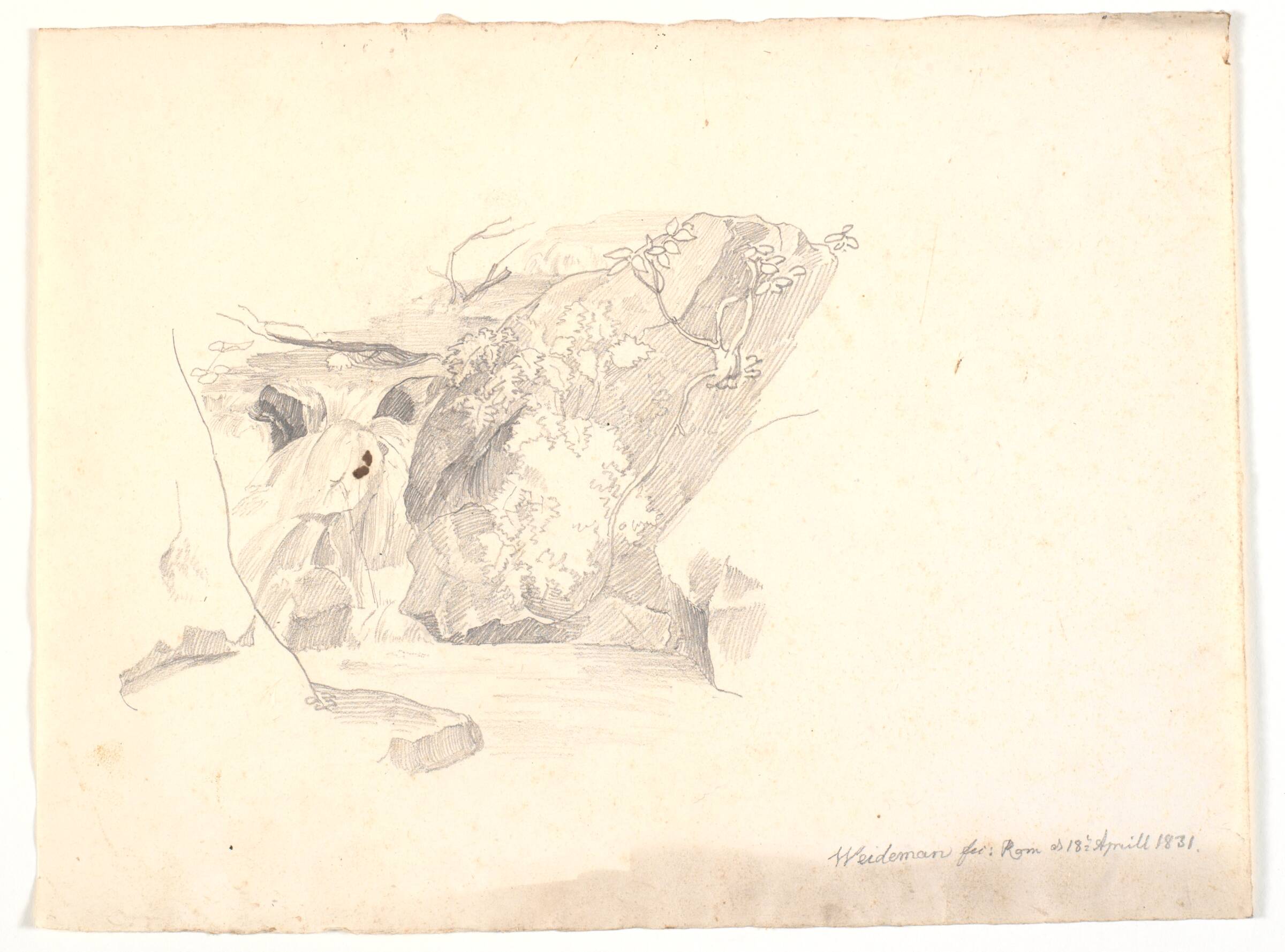 Et klippeparti, med sparsom bevoksning, Johann Caspar Weidenmann, 1831