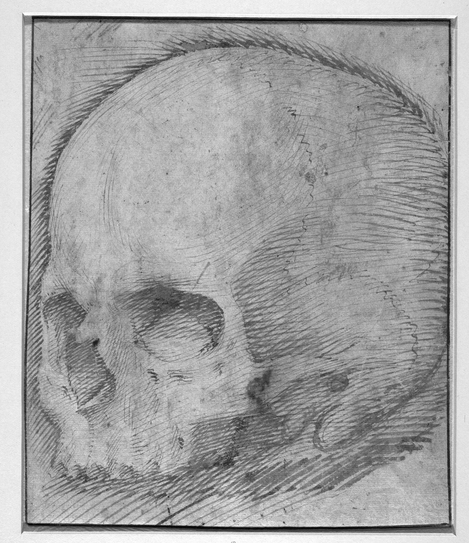 Kranie, Giovanni Battista Caracciolo, 1578-1634