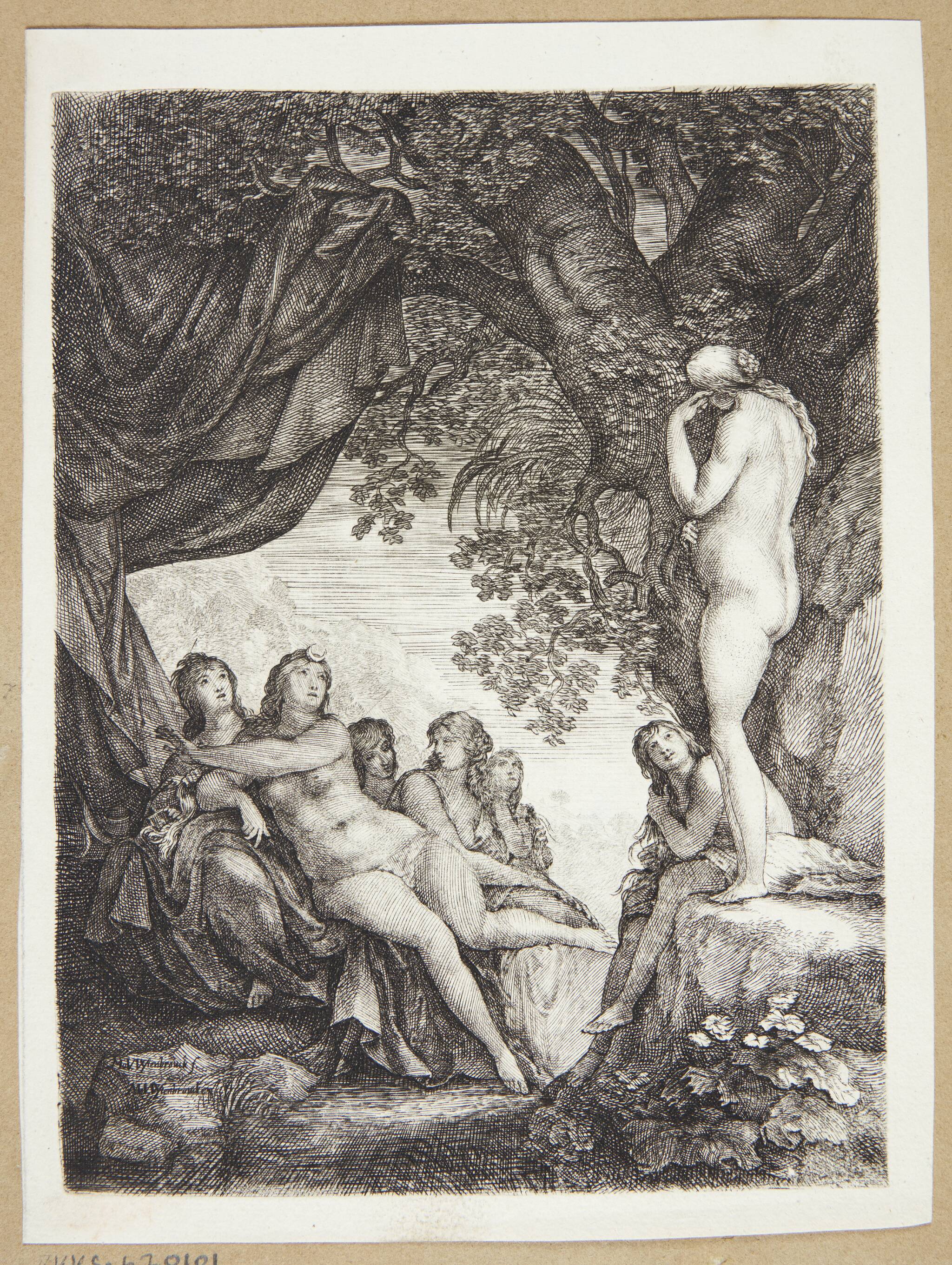 Diana opdager, at Callisto er gravid