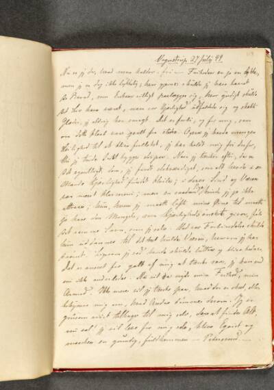 Dagbog. Side 113