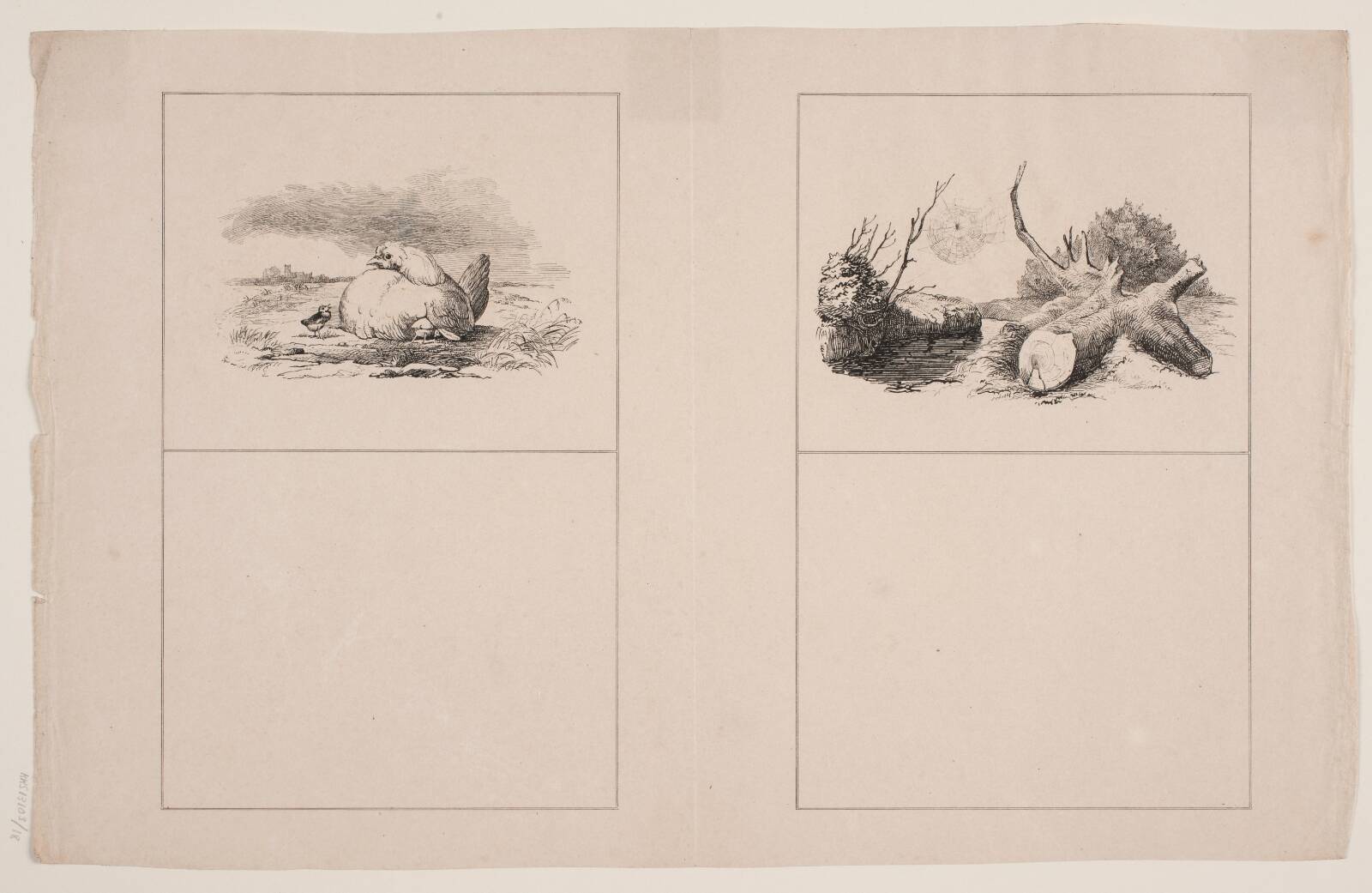 Kyllingerne; Ederkoppen, Adolph Kittendorff, 1845