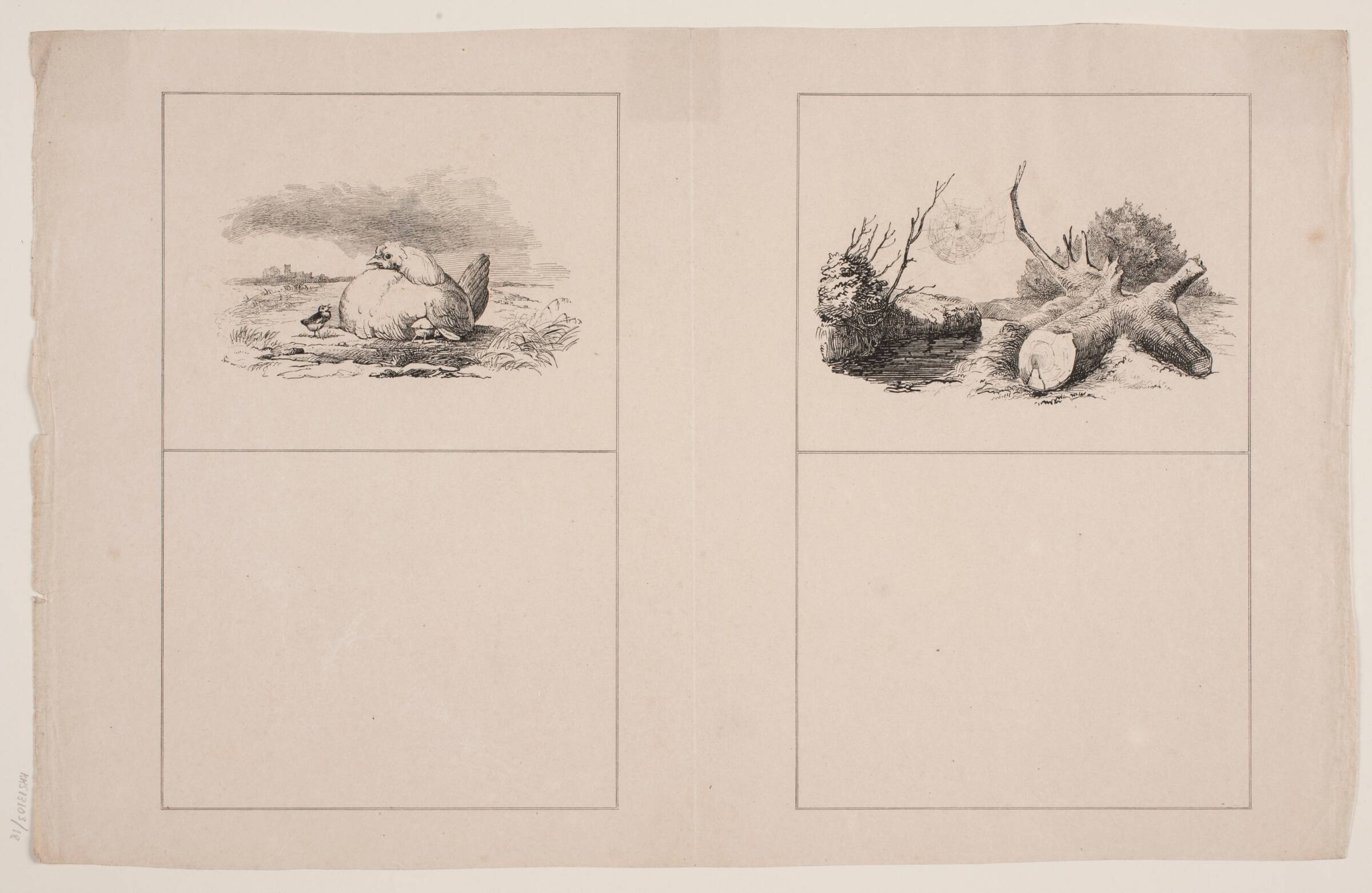 Kyllingerne; Ederkoppen, Adolph Kittendorff, 1845