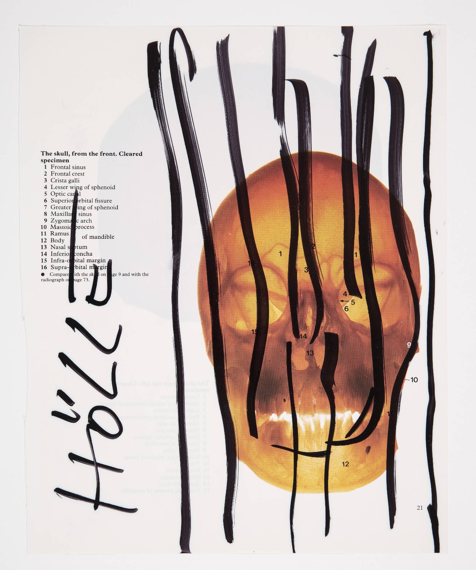 Hölle, Christian Lemmerz, 1994
