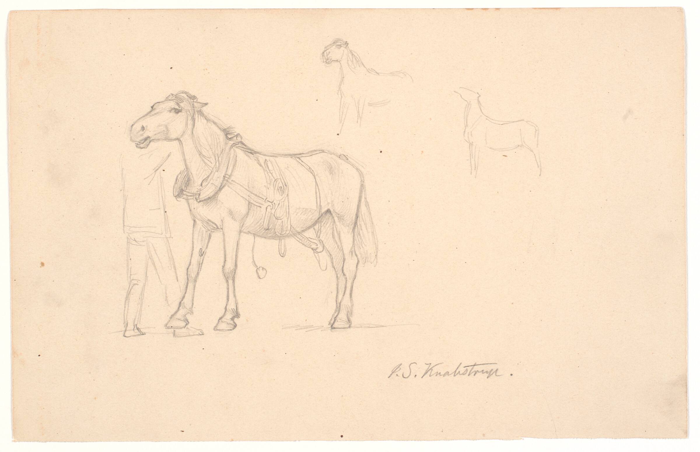 Tre studier af en hest, Joakim Skovgaard, 1870-1873