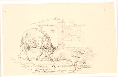 Væderen og grisen. Illustration til Kaalunds "Fabler for Børn". Se kommentar fra arkkatalog.