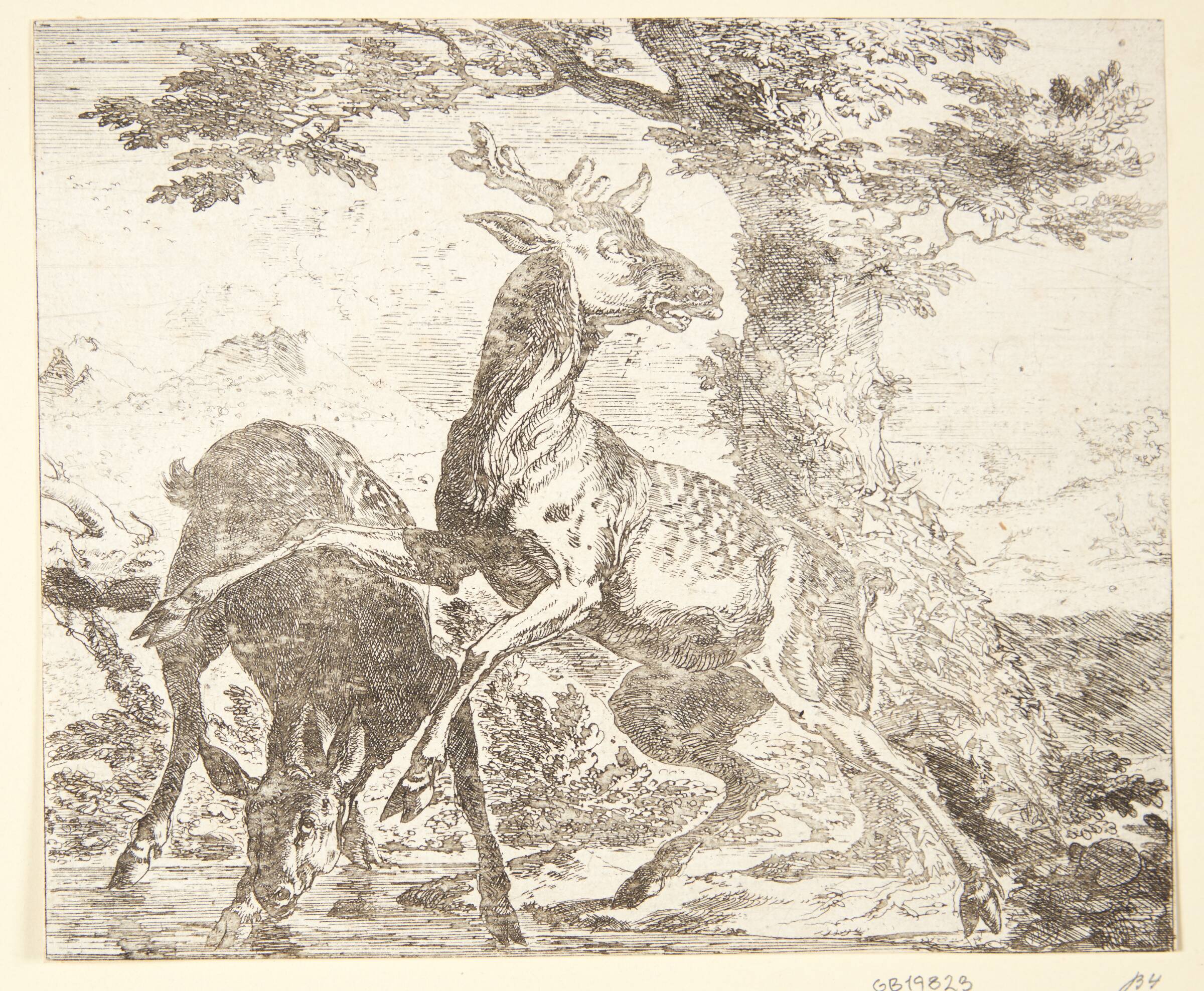 To hjorte, Abraham Hondius, 1672
