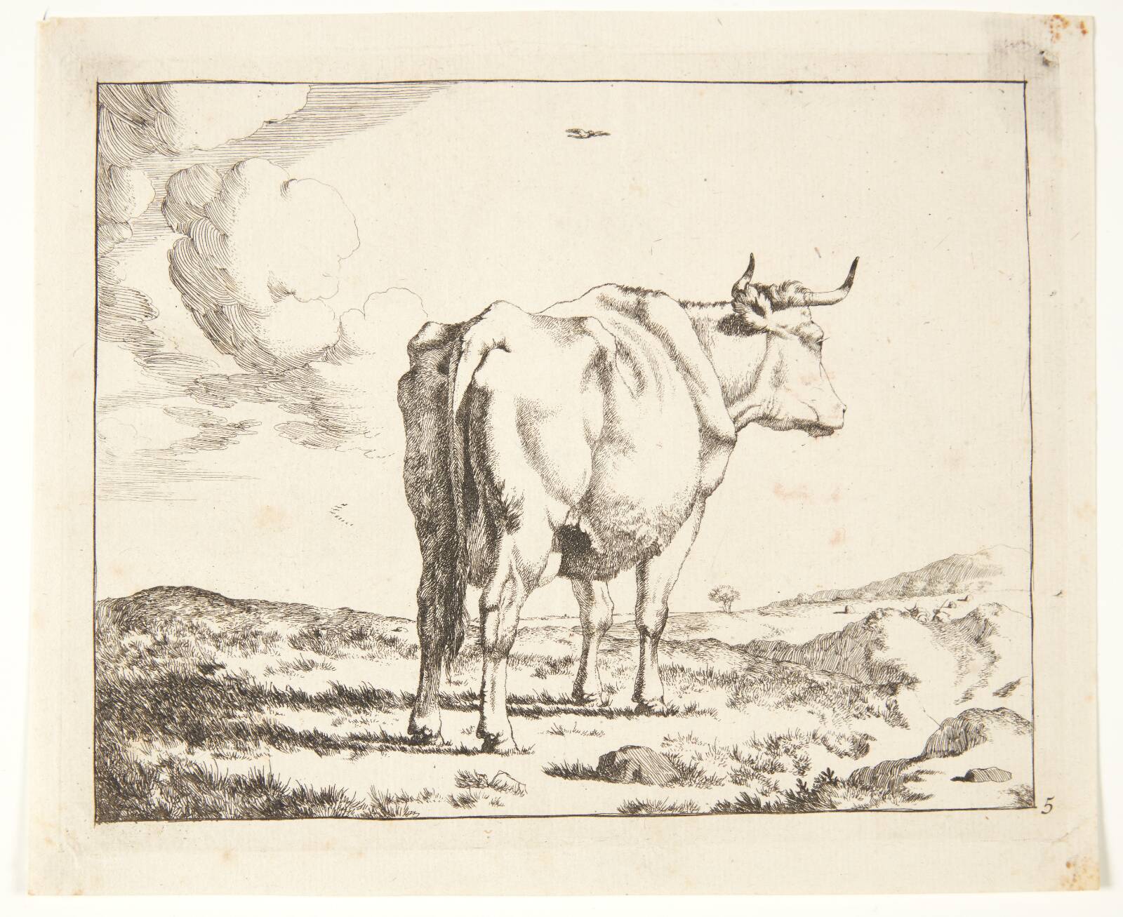 Stående ko, set bagfra, Marcus de Bye, 1638-1690
