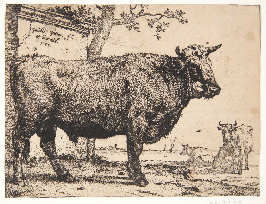 En tyr, Paulus Potter, 1650