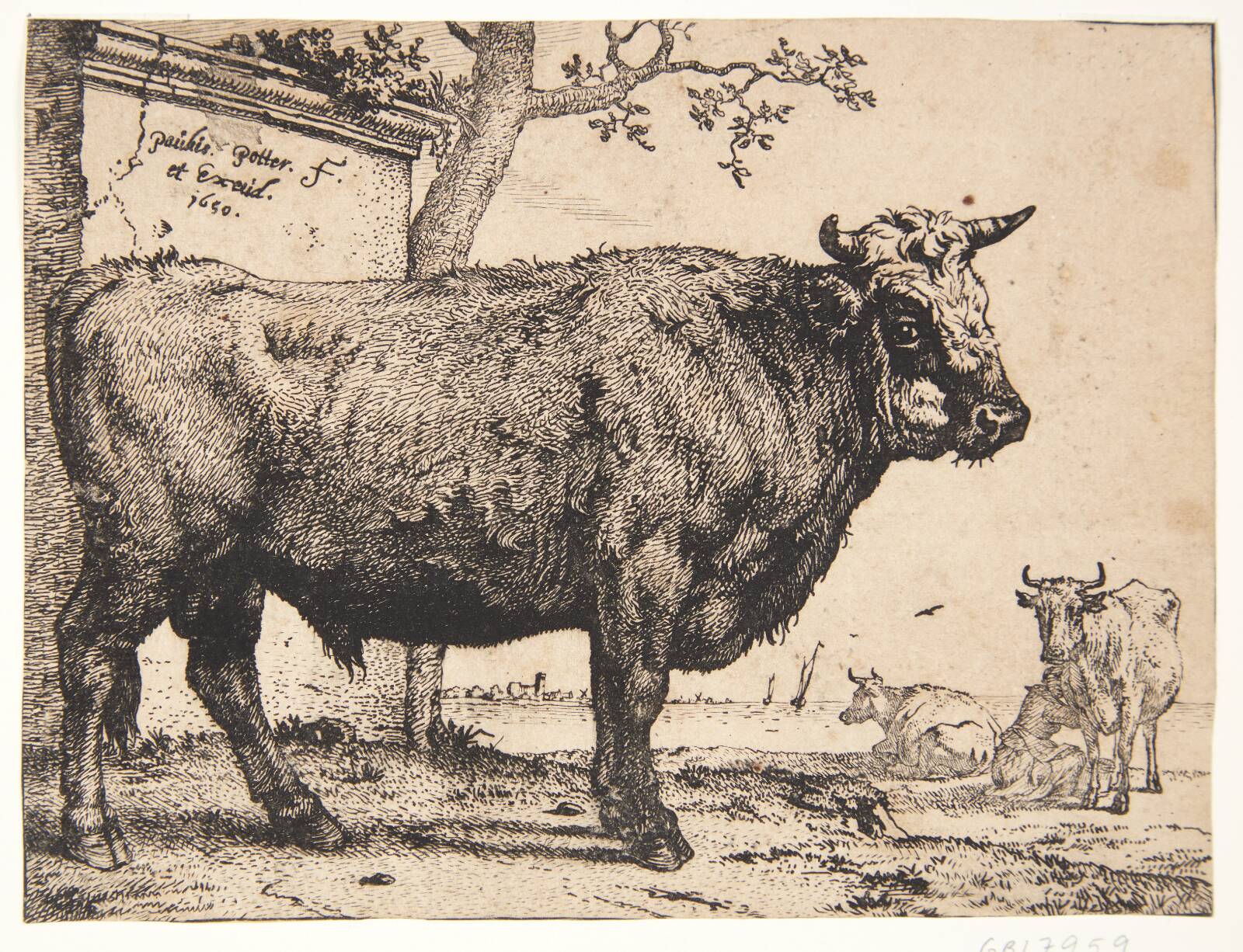 En tyr, Paulus Potter, 1650