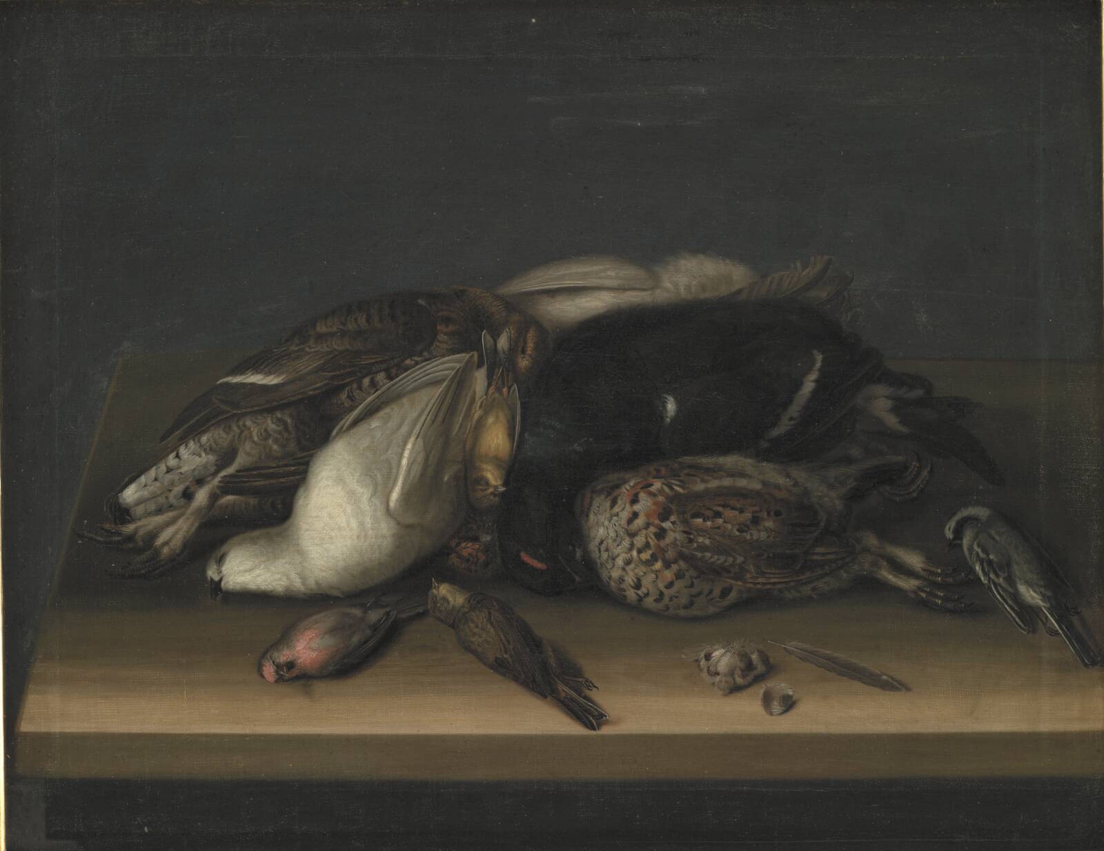 Fuglevildt på et træbord, Ubekendt, 1648-1681