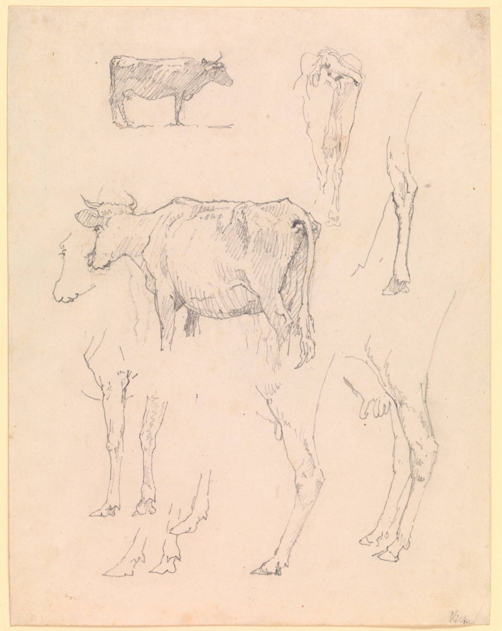 Køer, Christen Købke, 1836