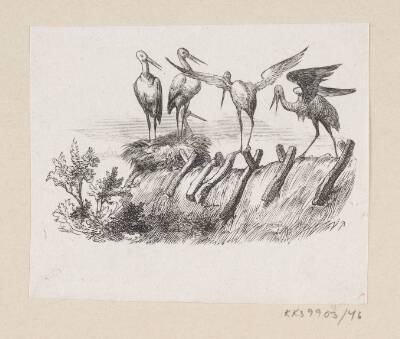 Illustration til "Storkene" i H.C. Andersen, "Eventyr og Historier", Bind 1