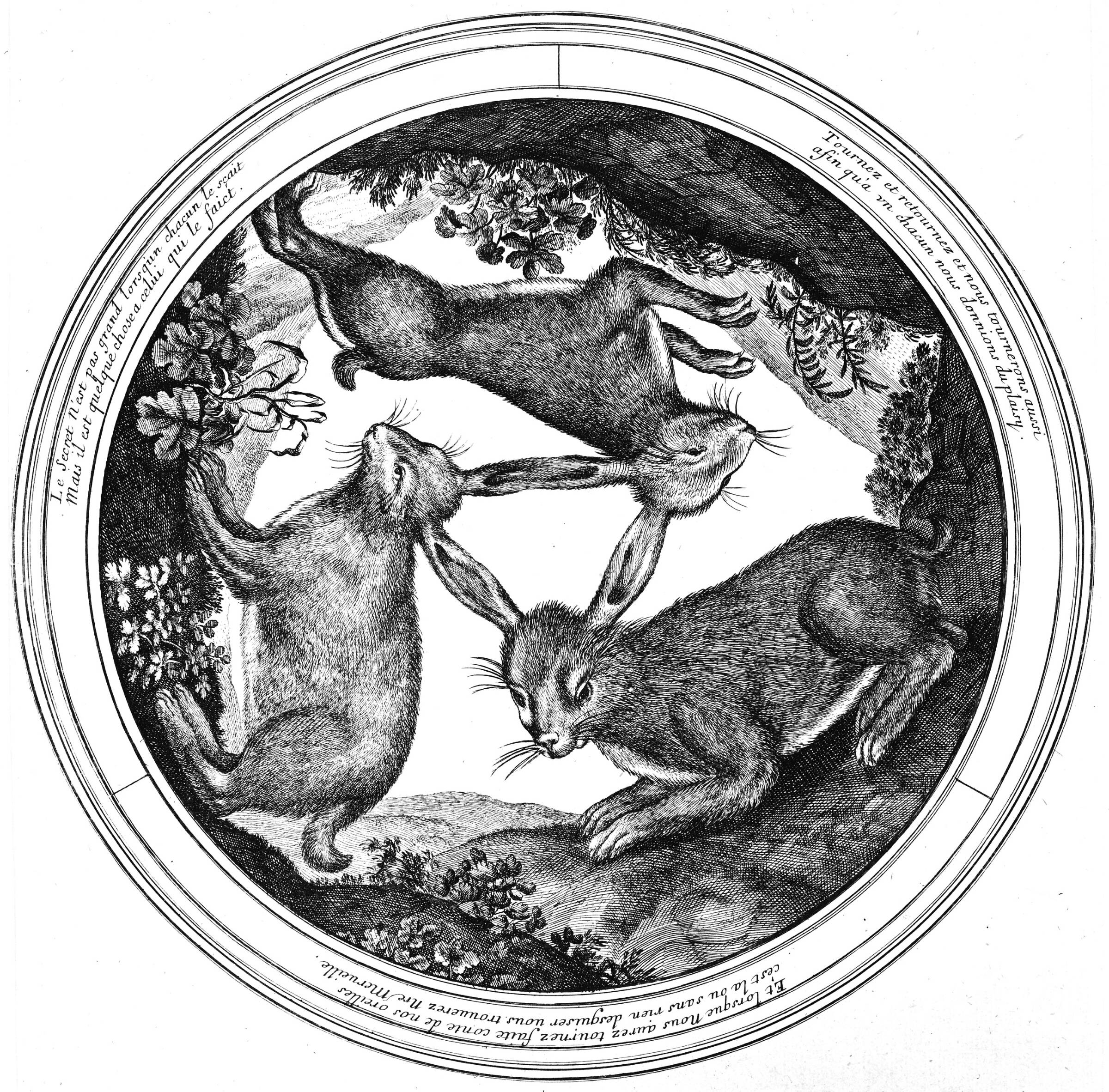Tre harer i forskelige stillinger, Неизвестный художник, 1580-1650