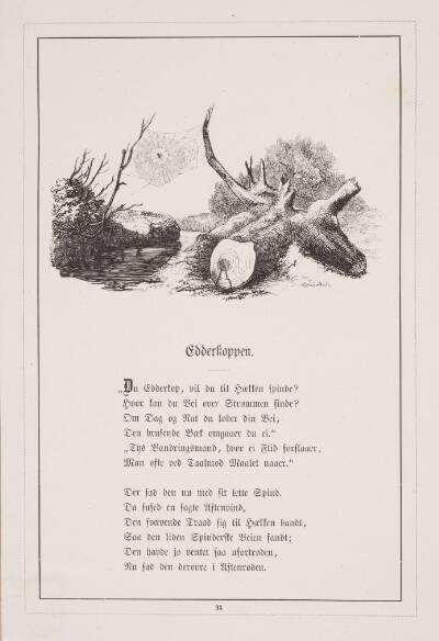 Edderkoppen. Illustration til H.V. Kaalund, "Fabler for Børn"