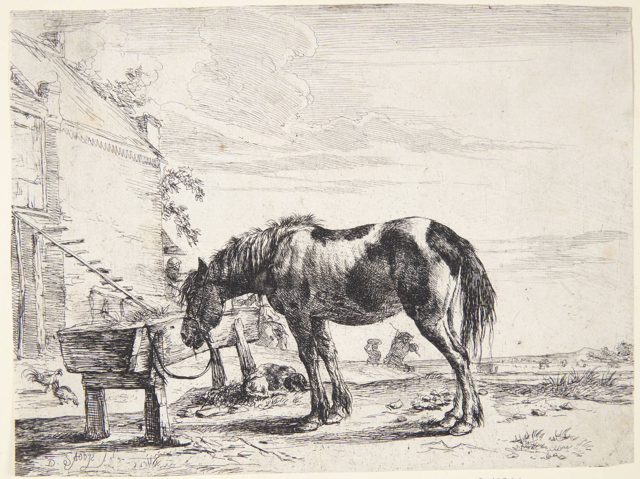 Hest tøjret til et fodertrug